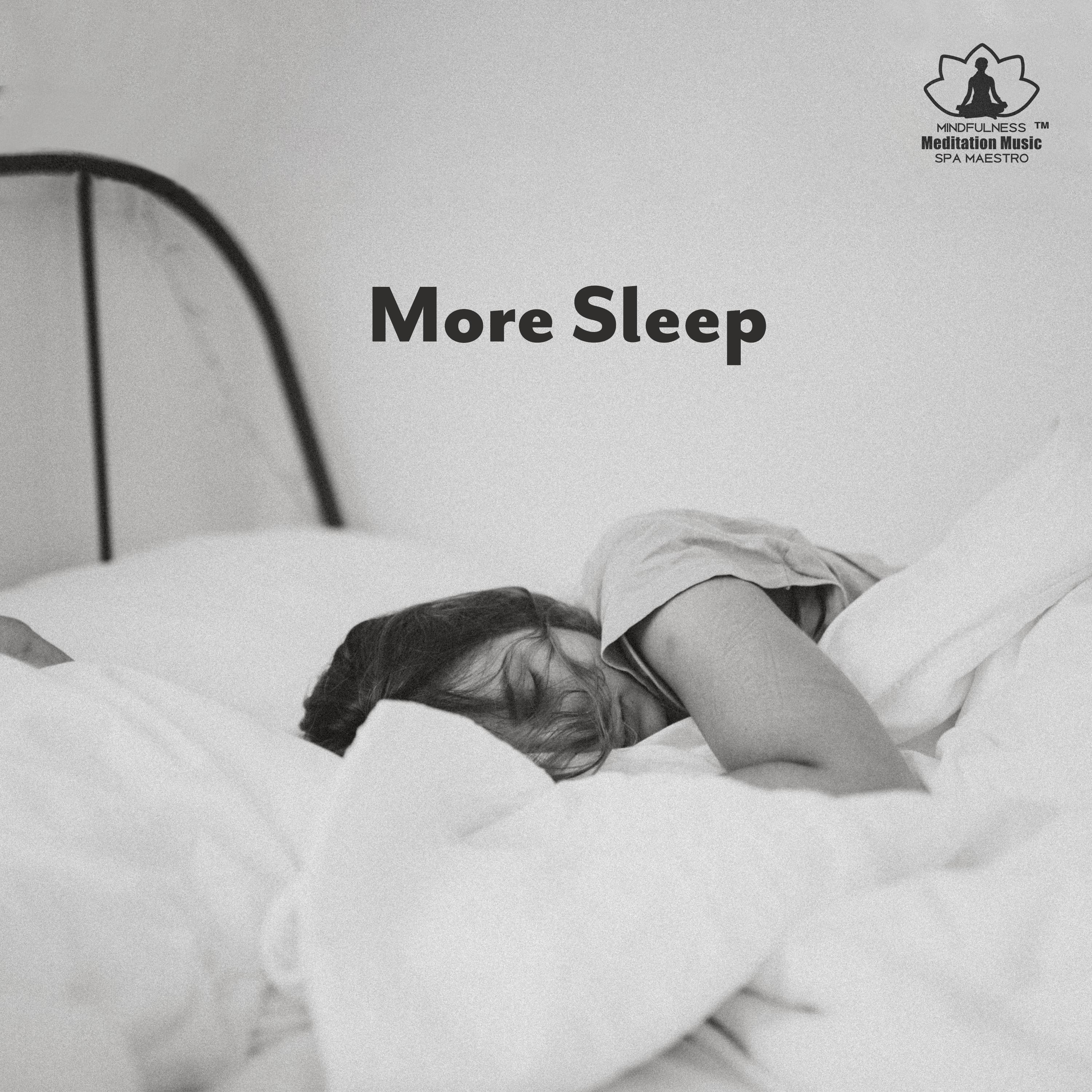 More Sleep (Minimalist Album)