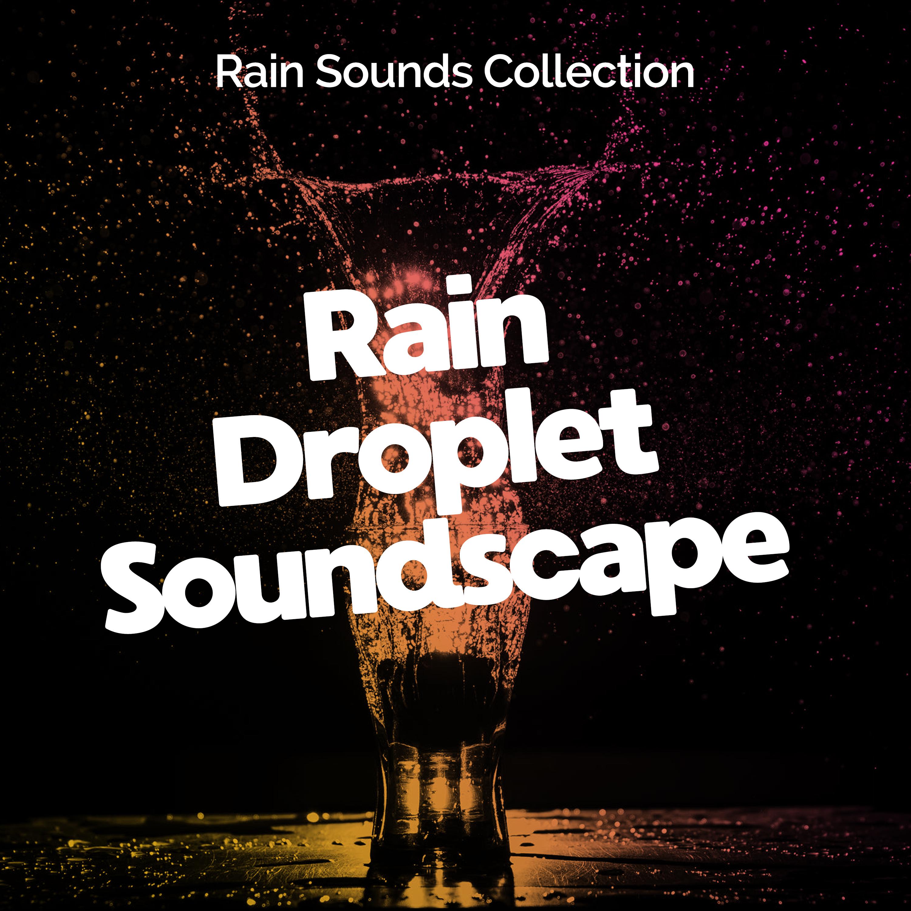 Rain Droplet Soundscape