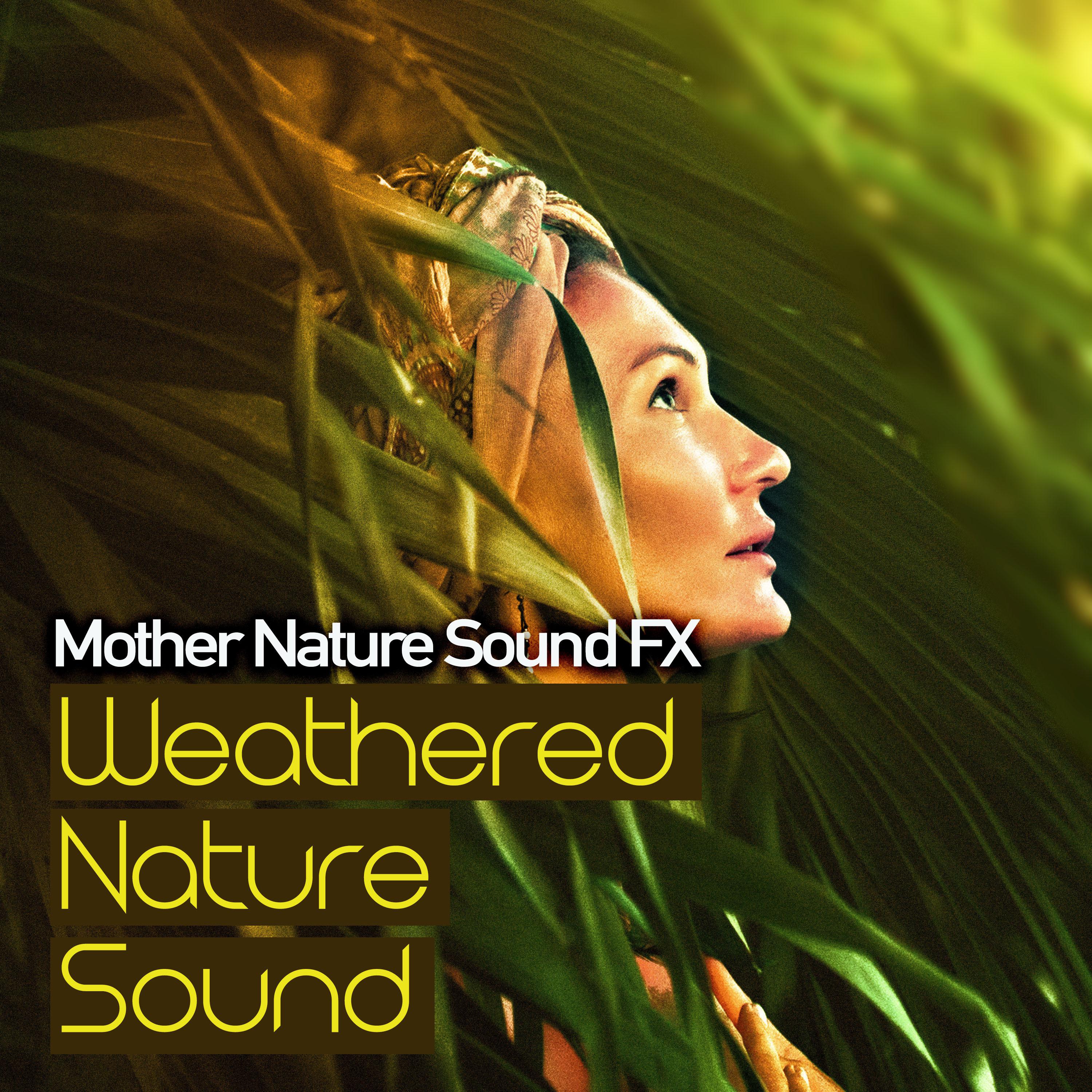 Weathered Nature Sound
