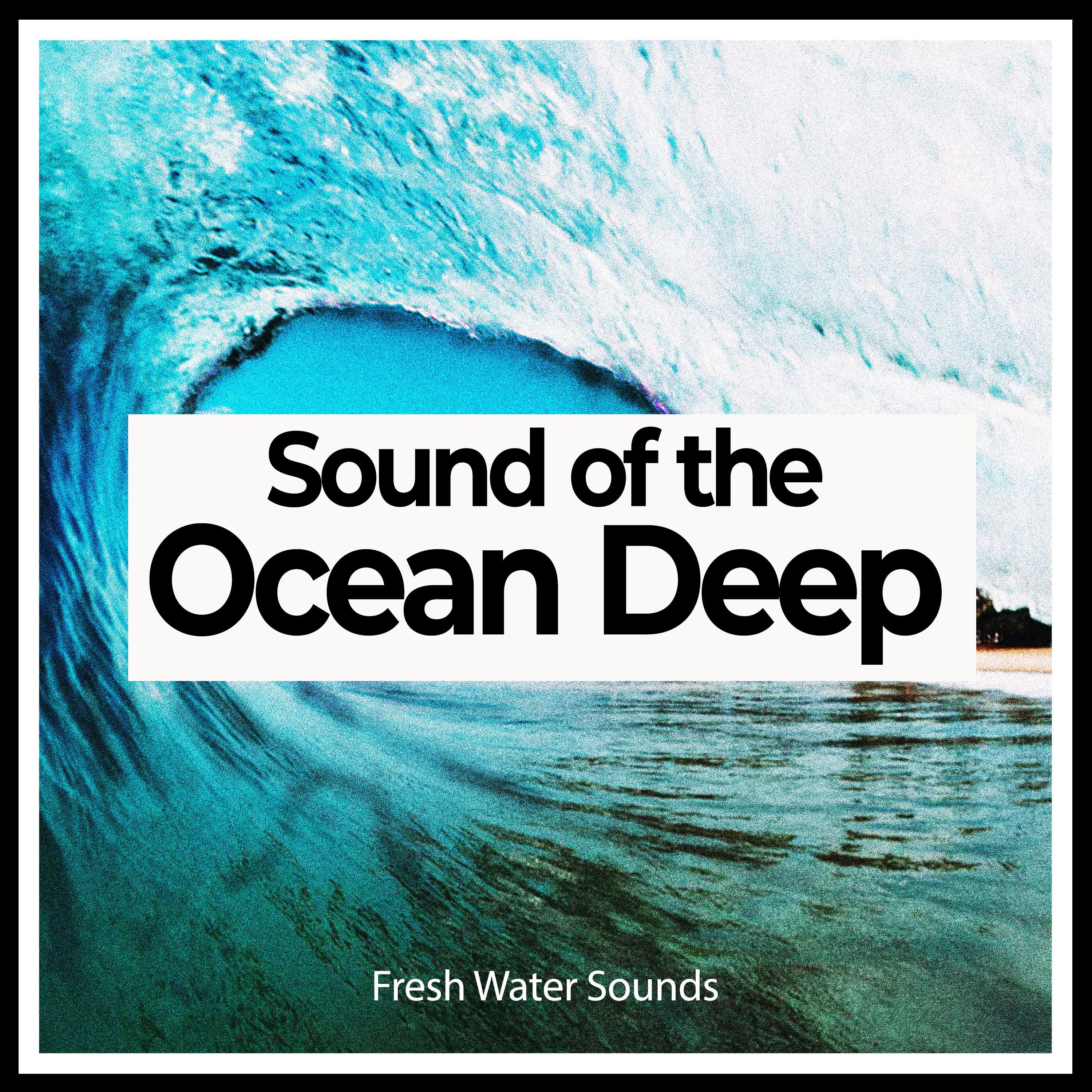 Sound of the Ocean Deep