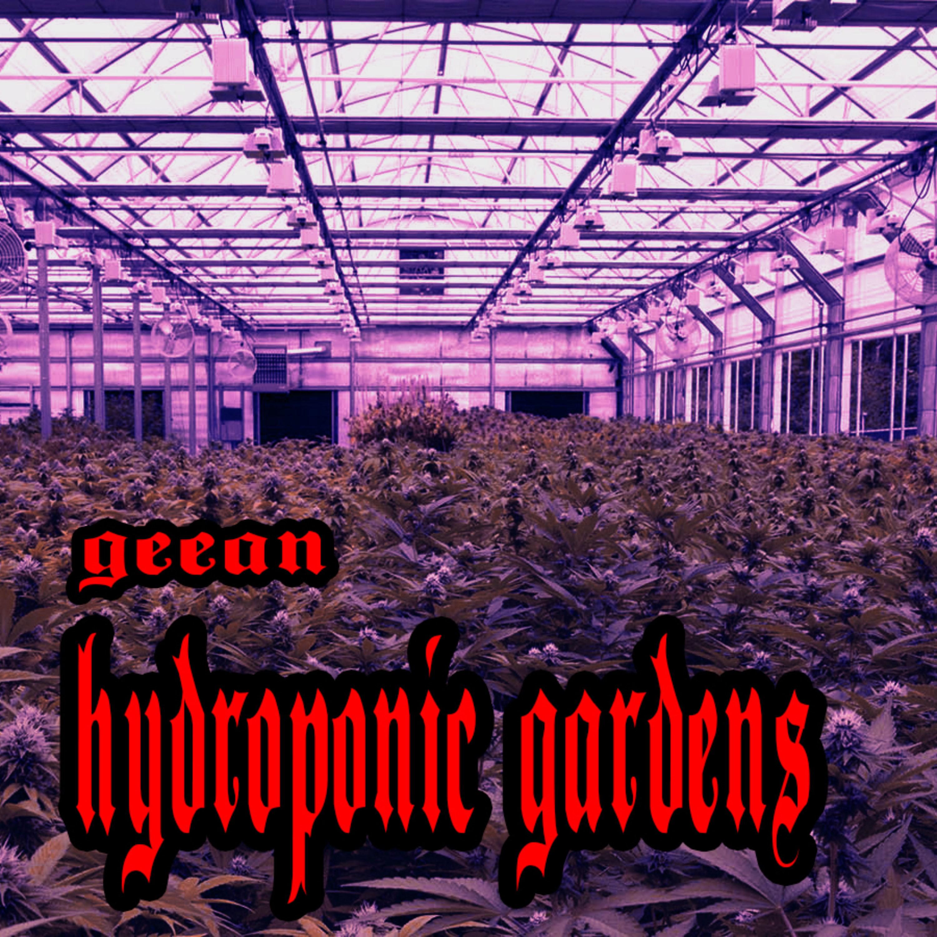 Hydroponic Gardens