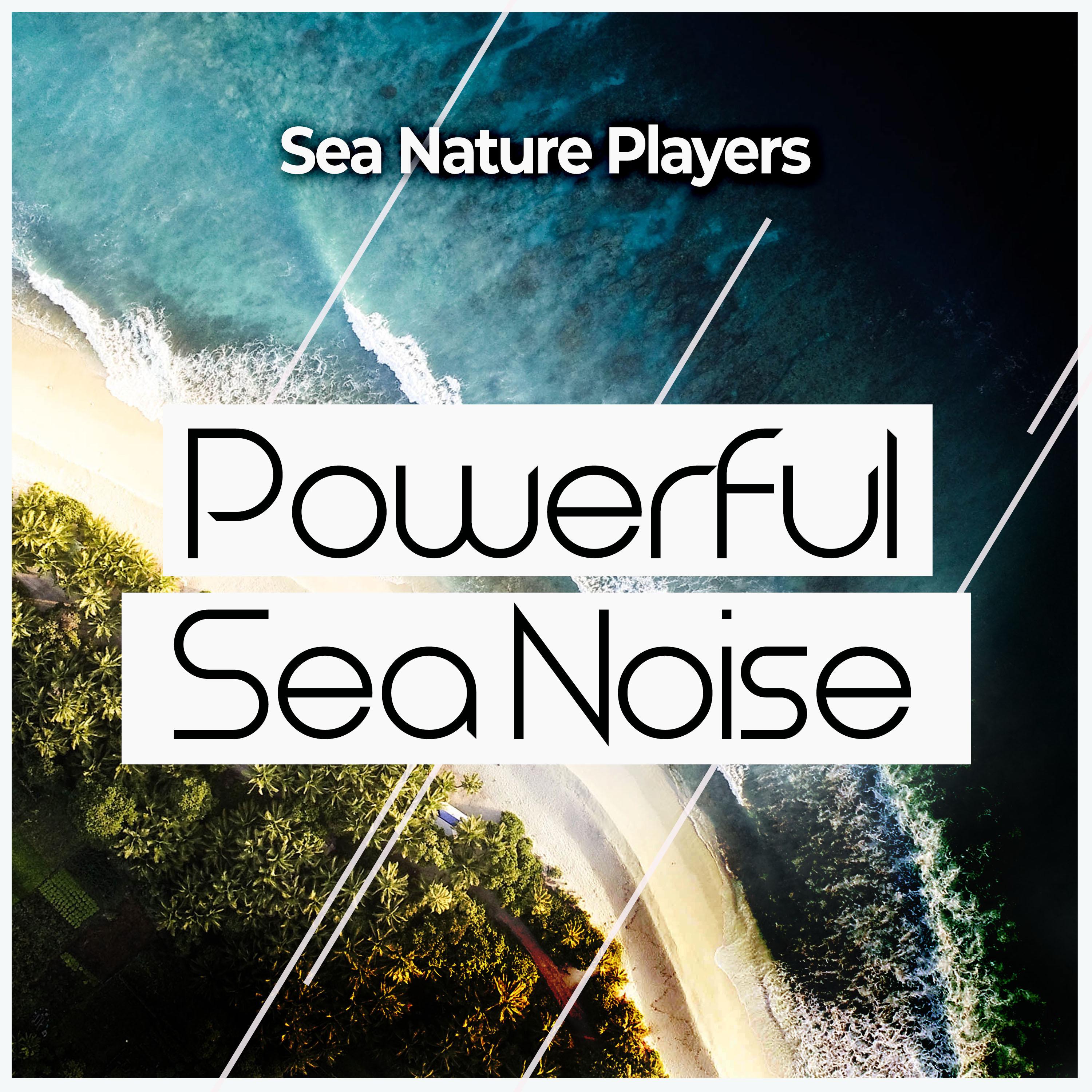 Powerful Sea Noise