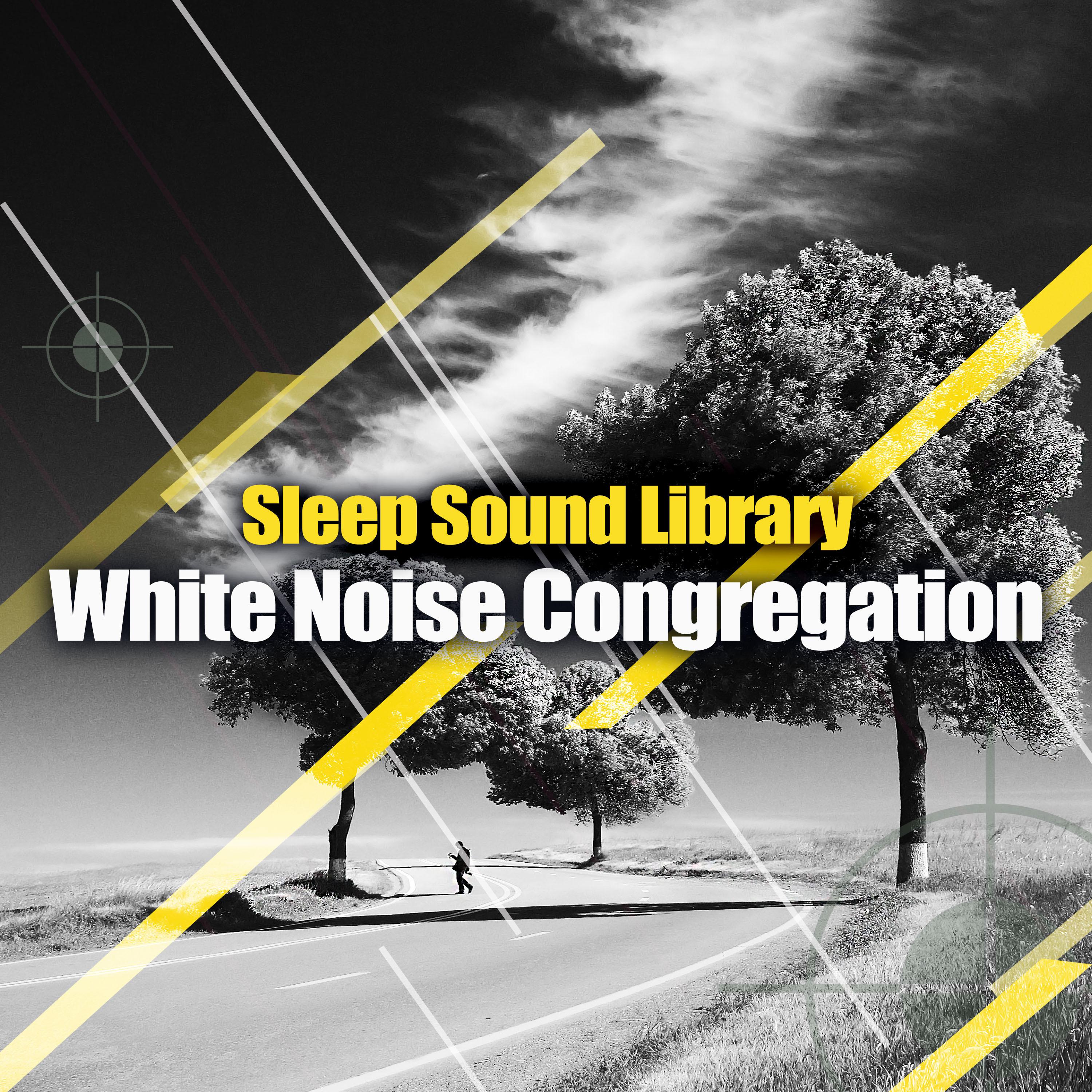 White Noise Congregation