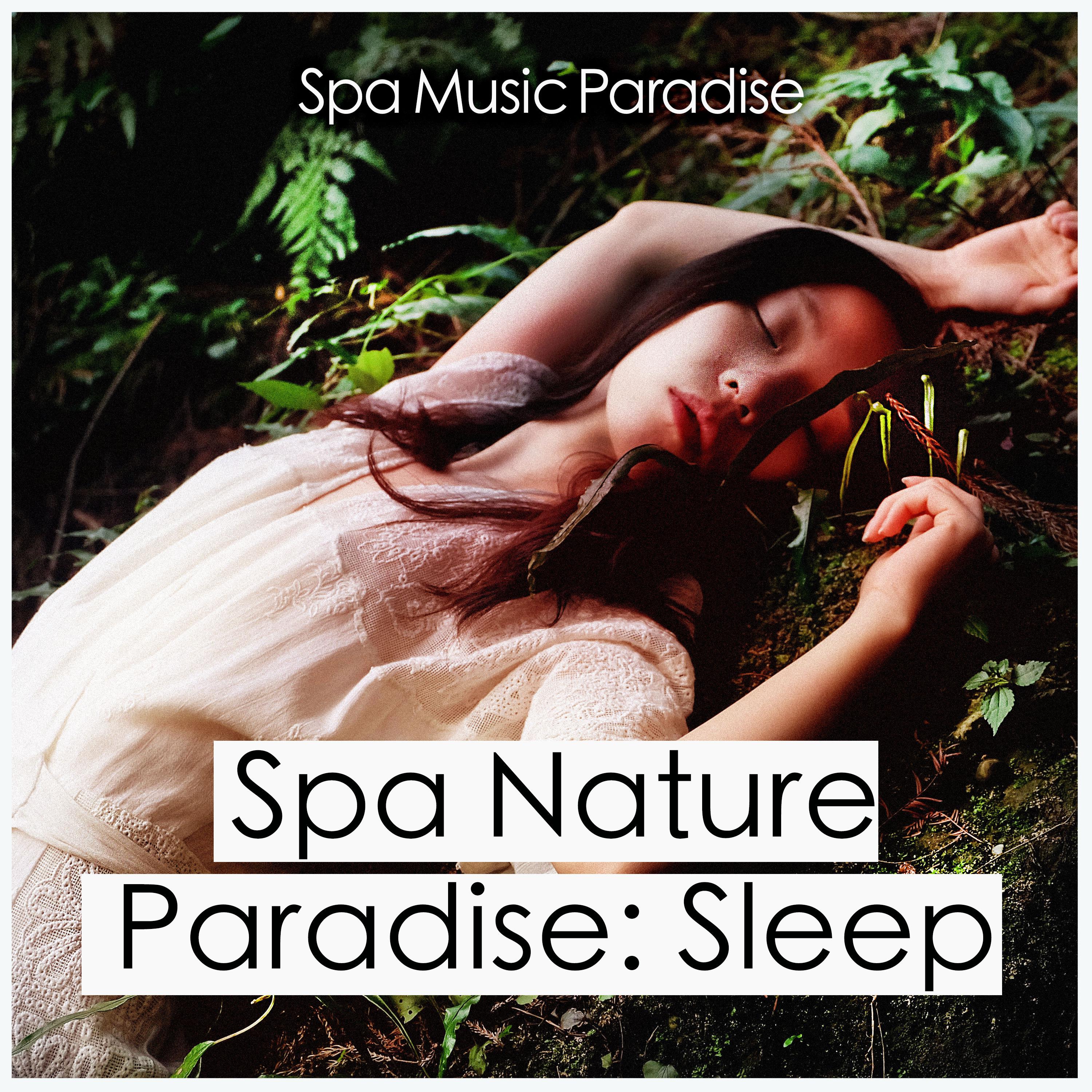 Spa Nature Paradise: Sleep
