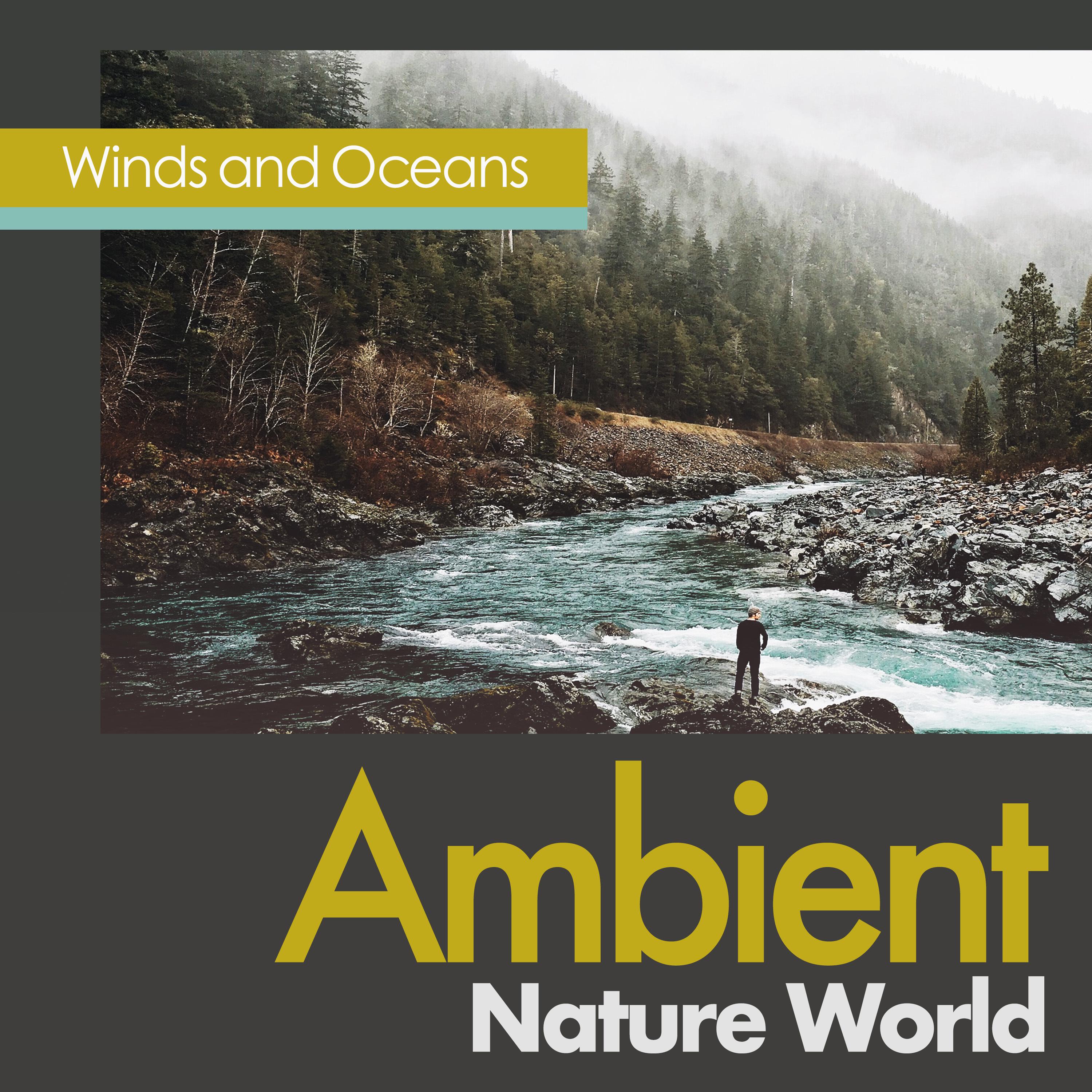 Ambient Nature World