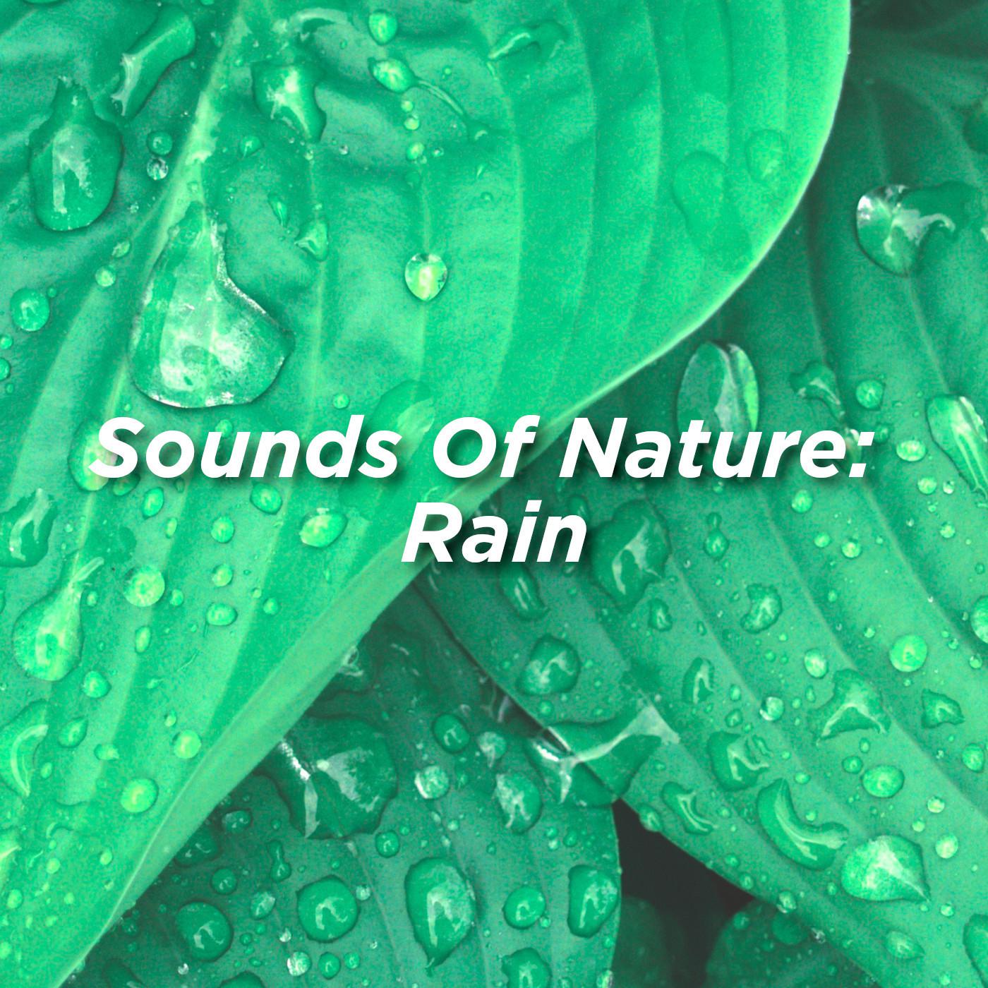 Sounds Of Nature: Rain