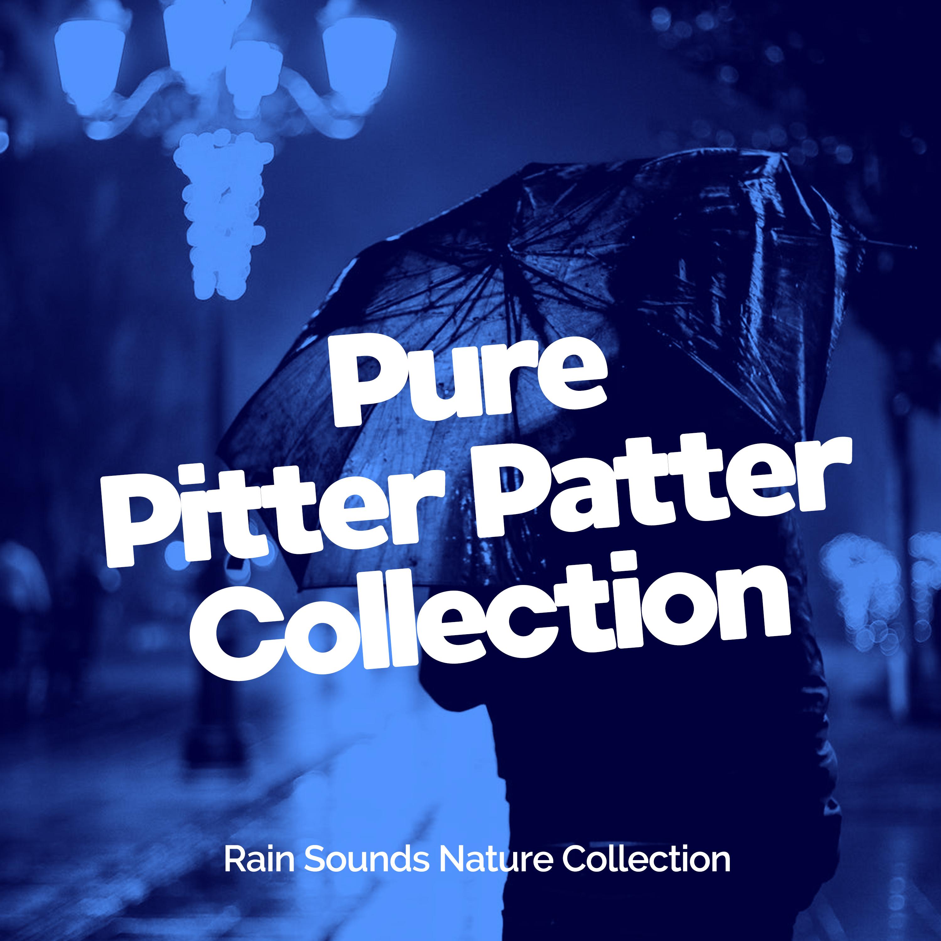 Pure Pitter Patter Collection