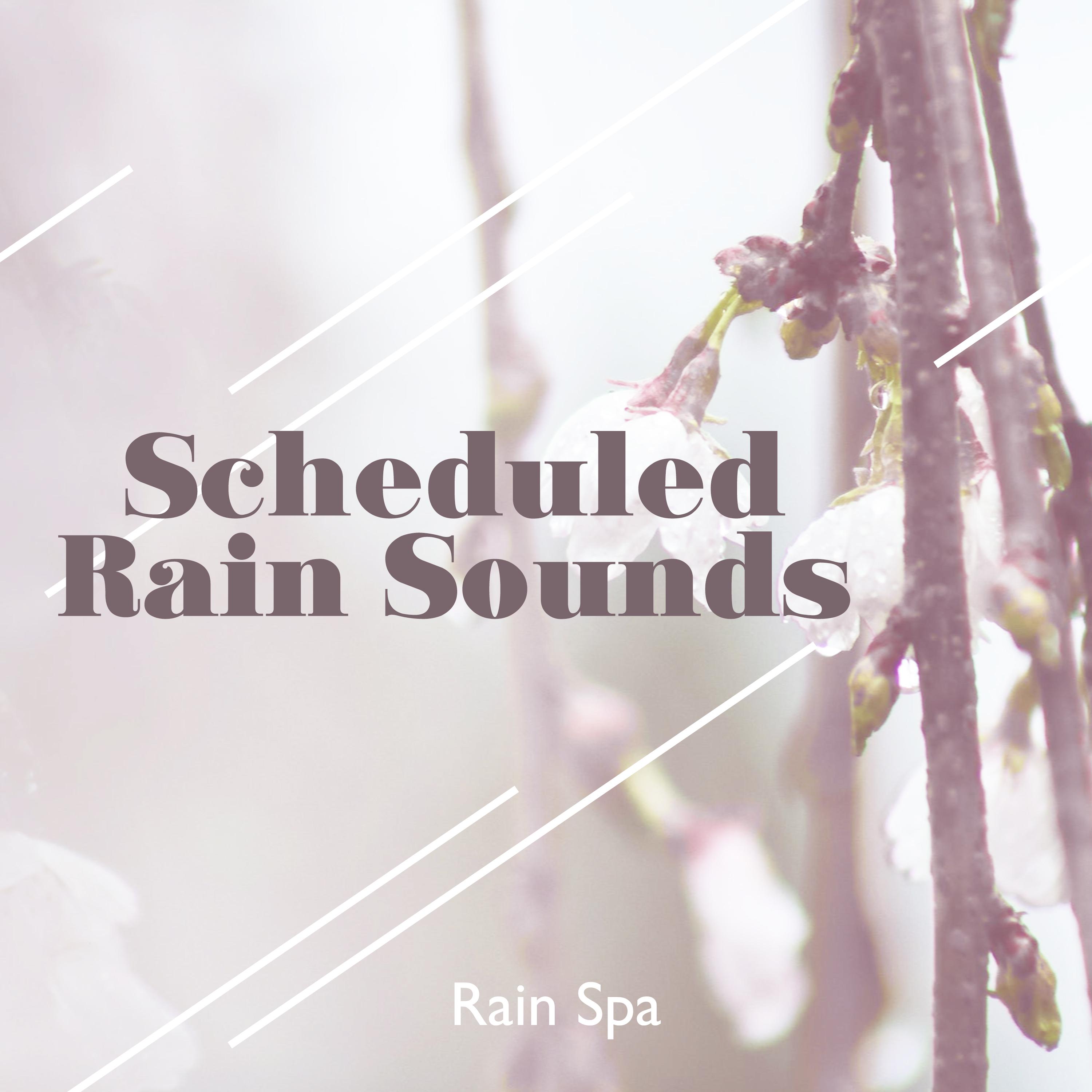 Scheduled Rain Sounds
