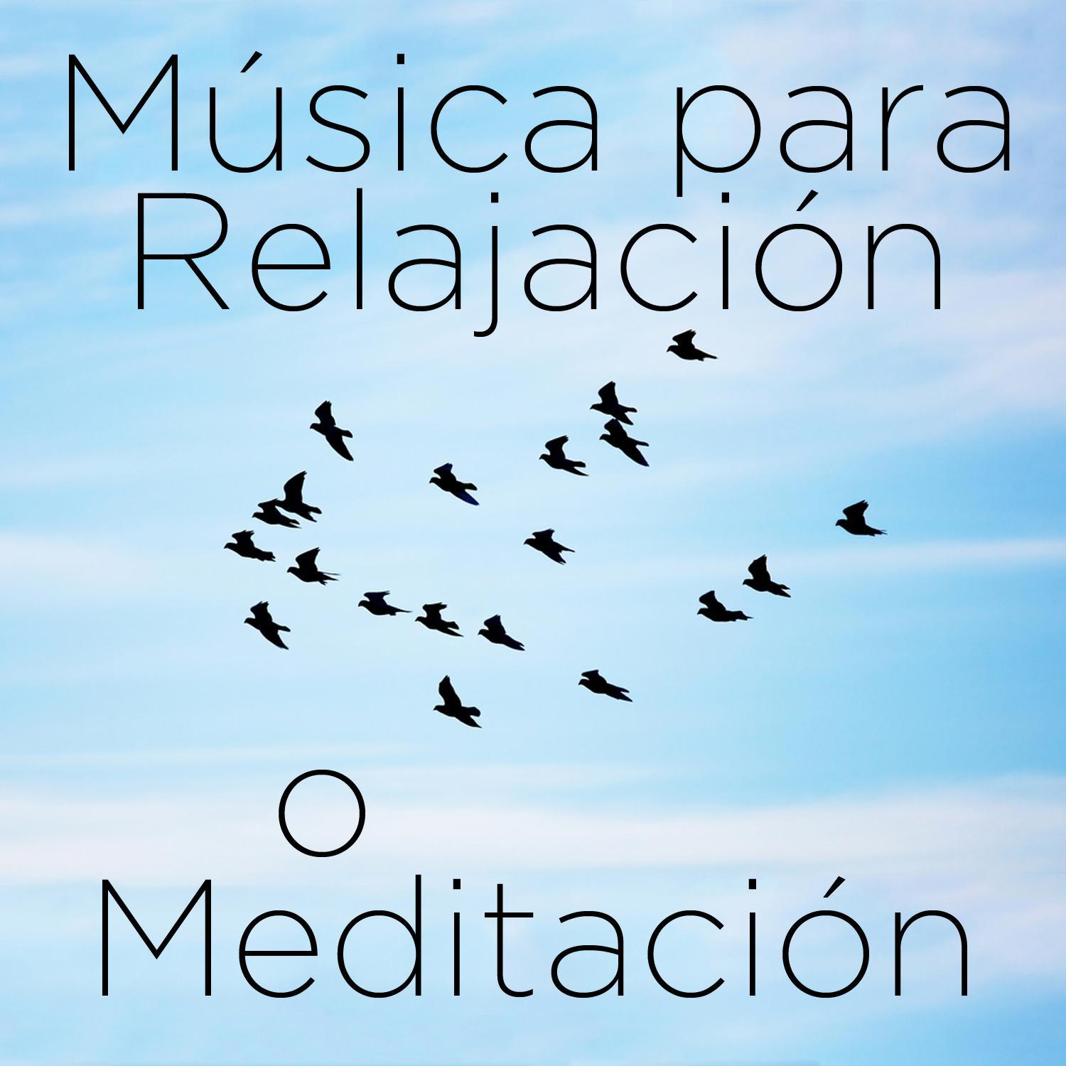 Musica para Relajacio n o Meditacio n: 30 Canciones