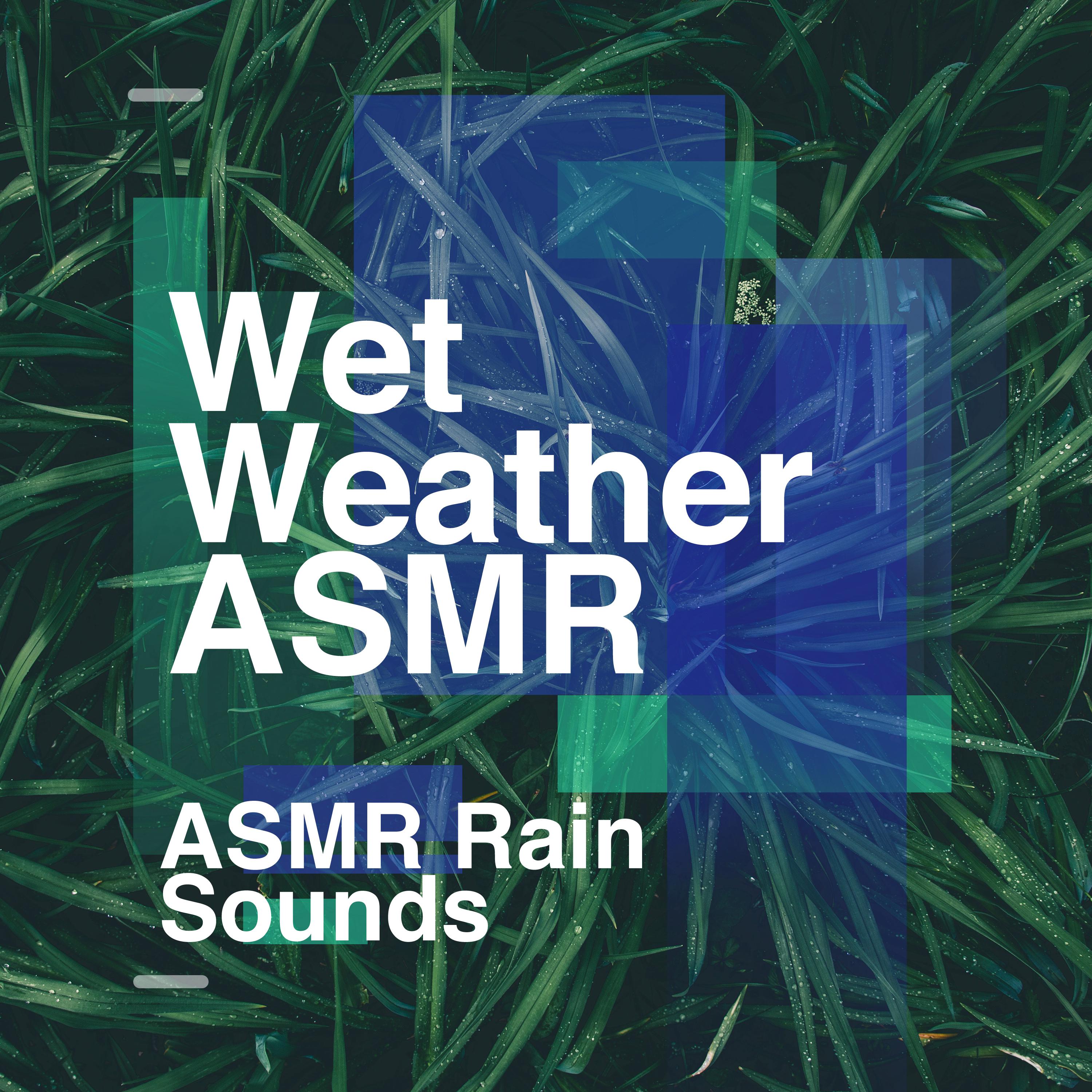 Wet Weather ASMR