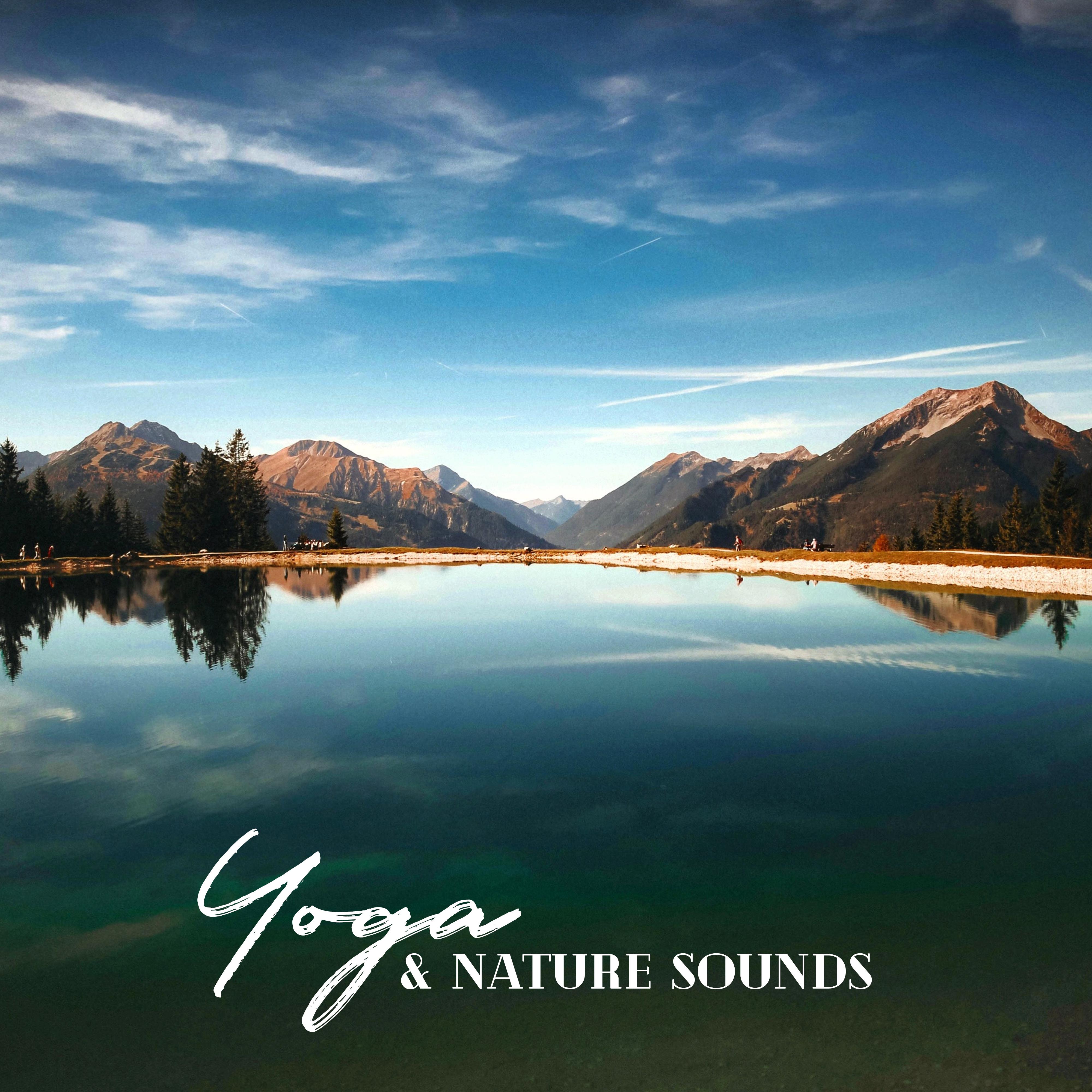 Yoga & Nature Sounds: Meditation Music Zone, Spiritual Awakening, Zen, Deep Harmony