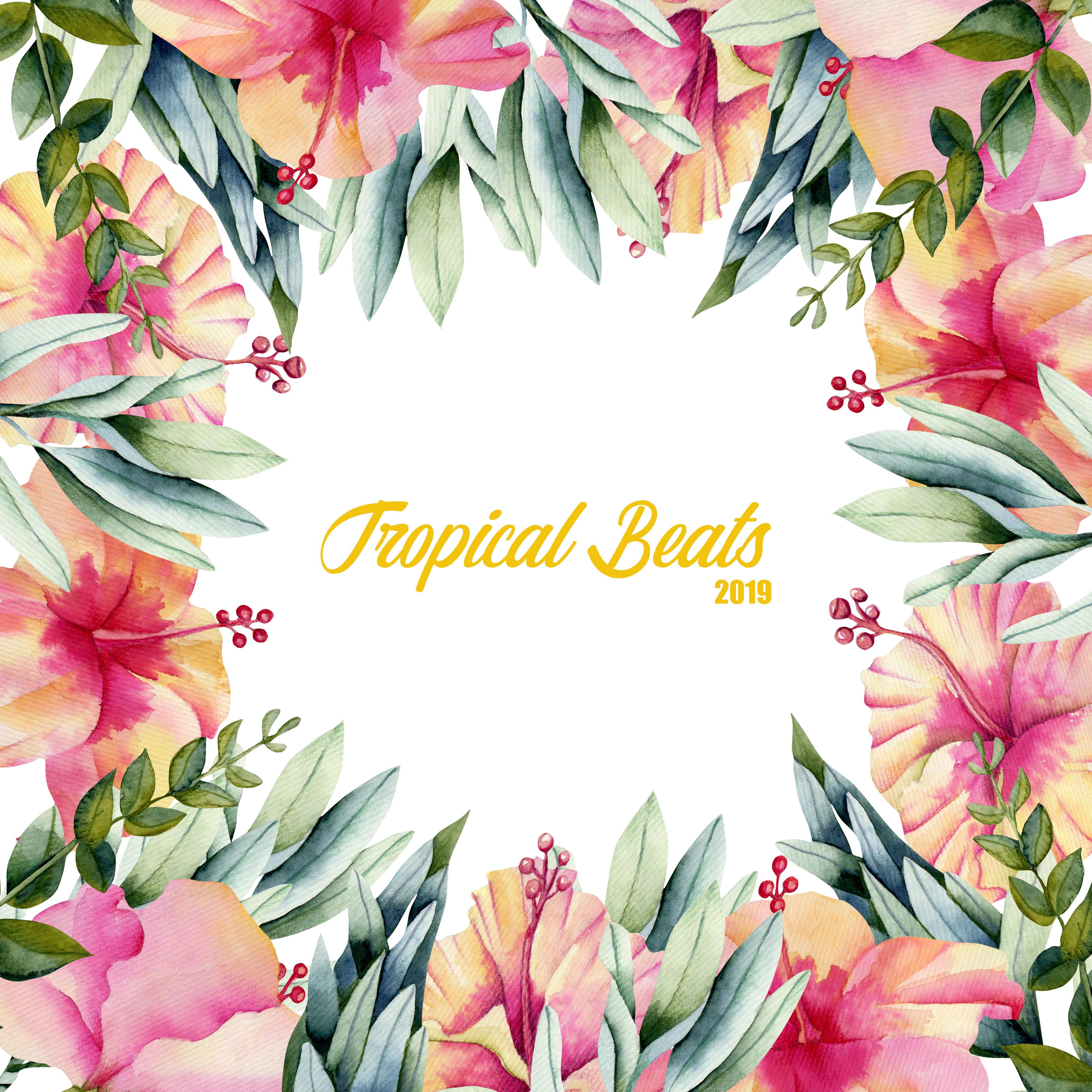 Tropical Beats 2019: Chill Paradise, Summer Music 2019, Holiday Music & Relax, Modern Songs, Deep Relaxation