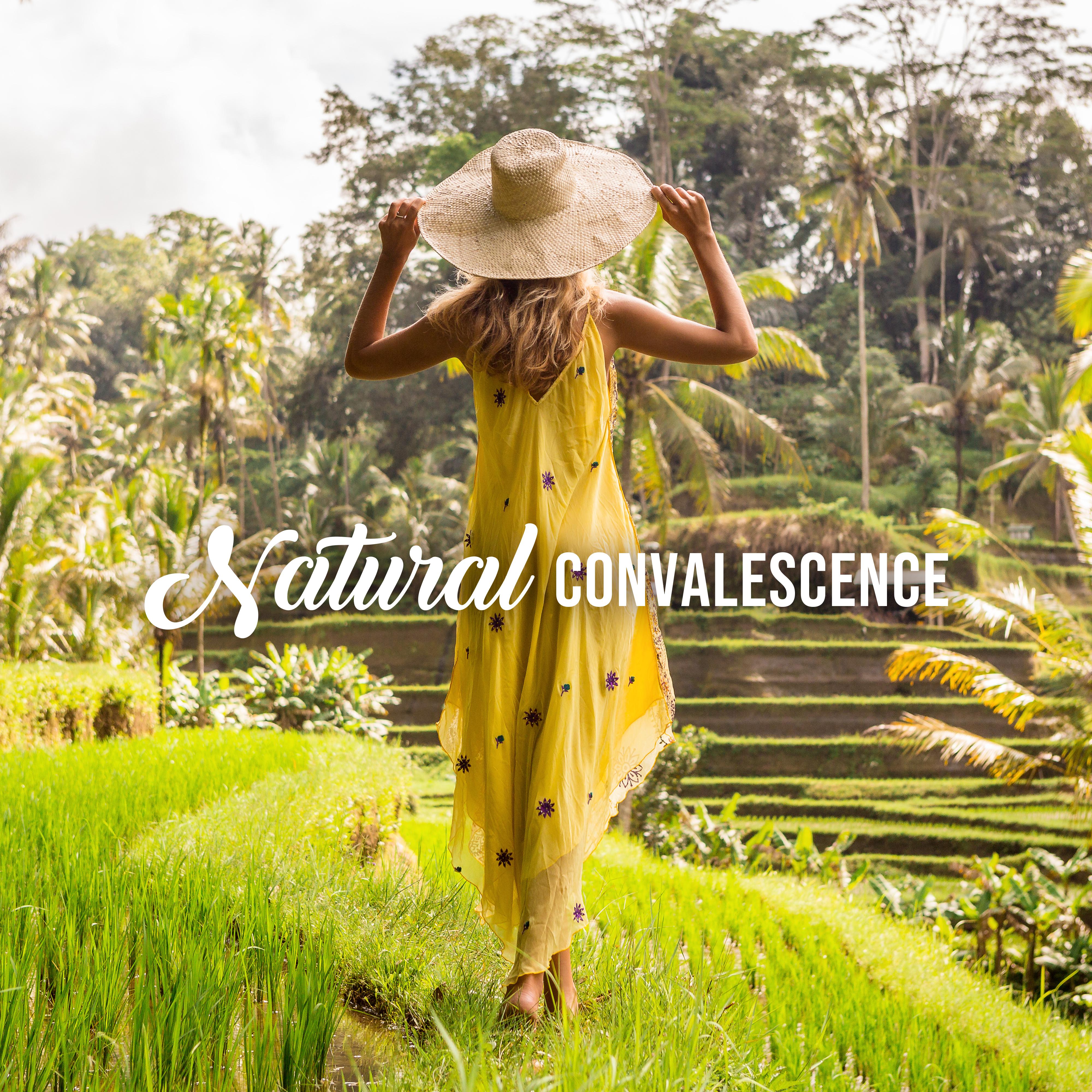 Natural Convalescence (Get Back to Nature with Calming Music and Sounds)