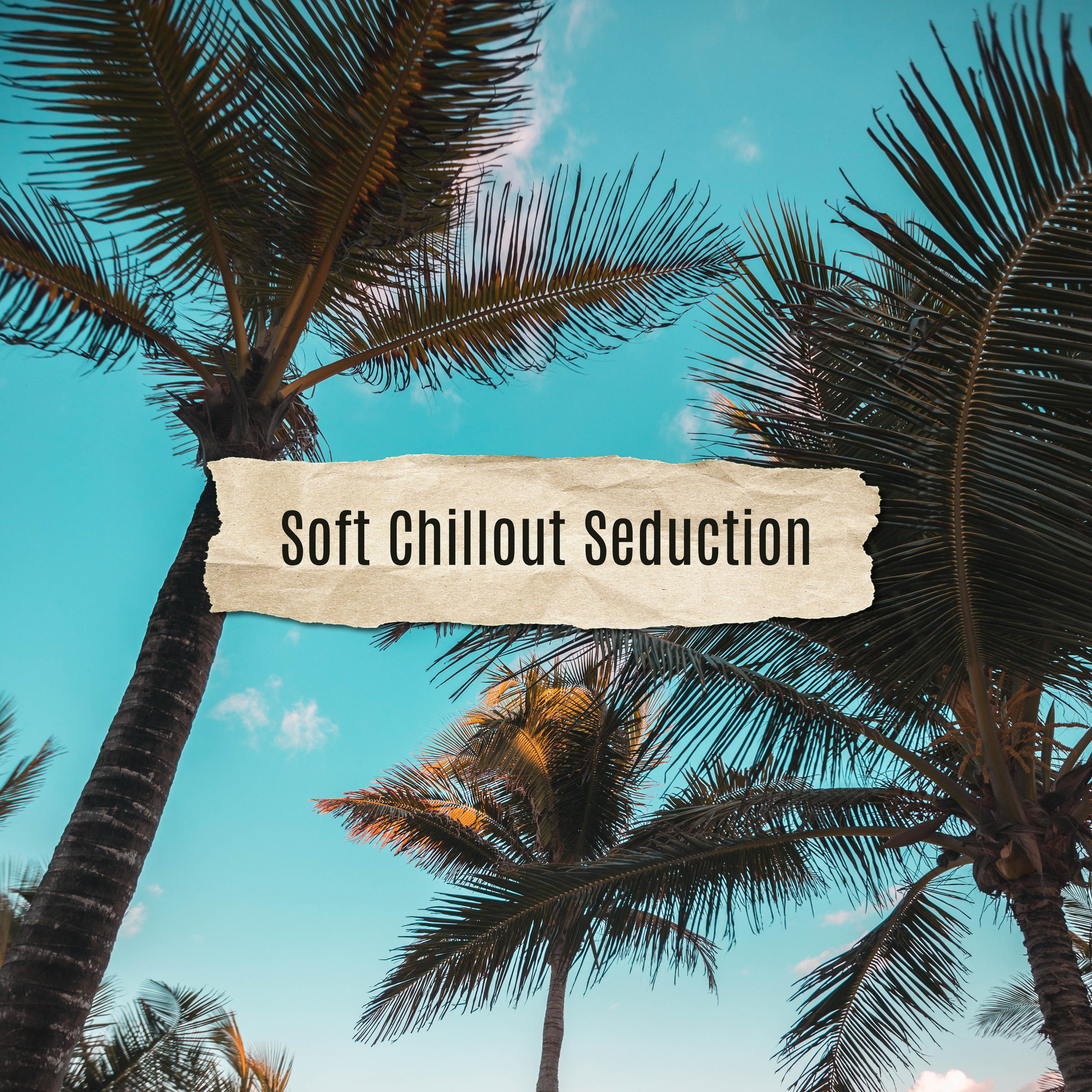 Soft Chillout Seduction: Compilation of 2019 Slow Chill Out Music, Perfect Relaxation Vibes, Celebrate Your Summer Vacation, Best Relax on the Tropical Beach Background Anthems