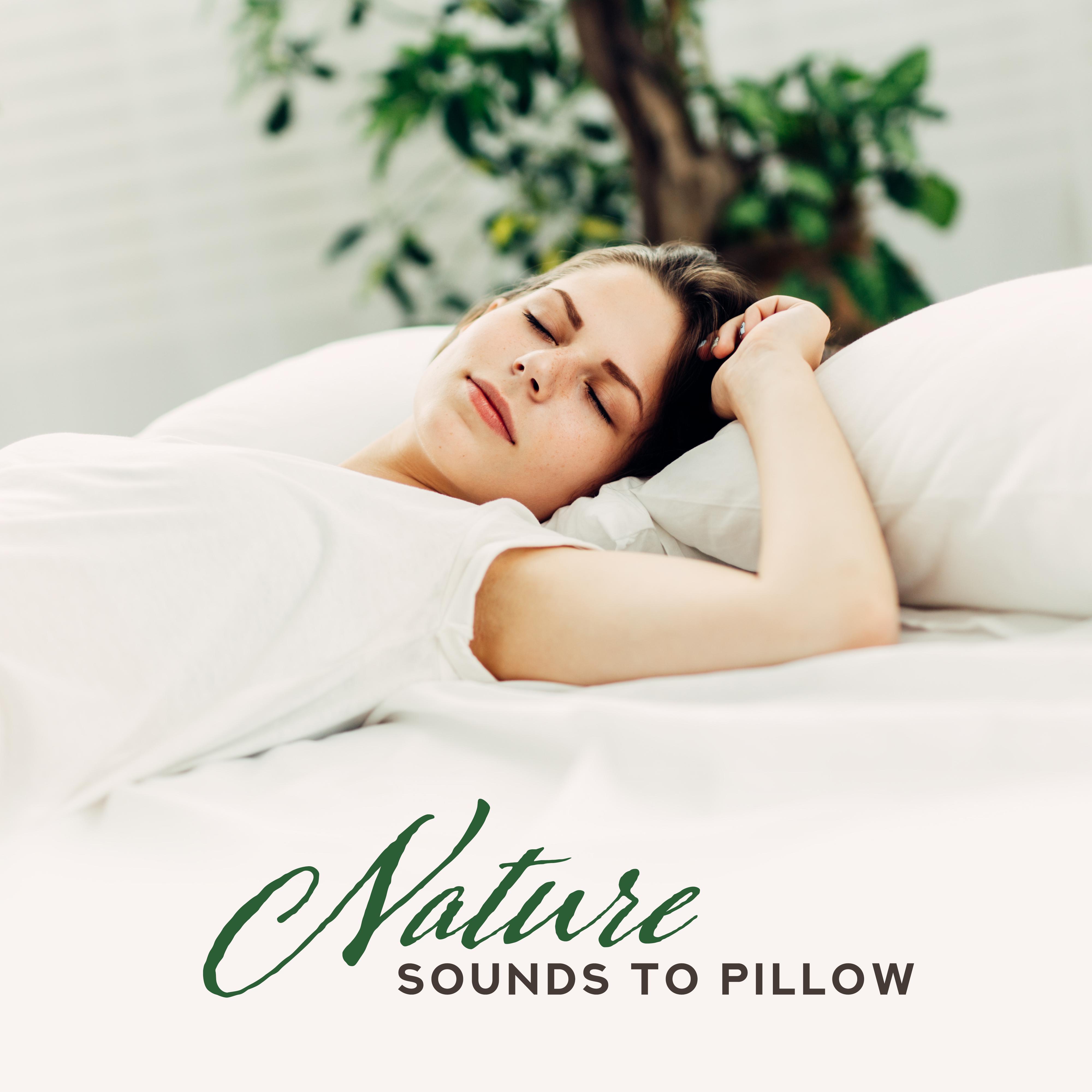 Nature Sounds to Pillow: Nature Music for Relaxation, Zen, Lounge, Calm Down