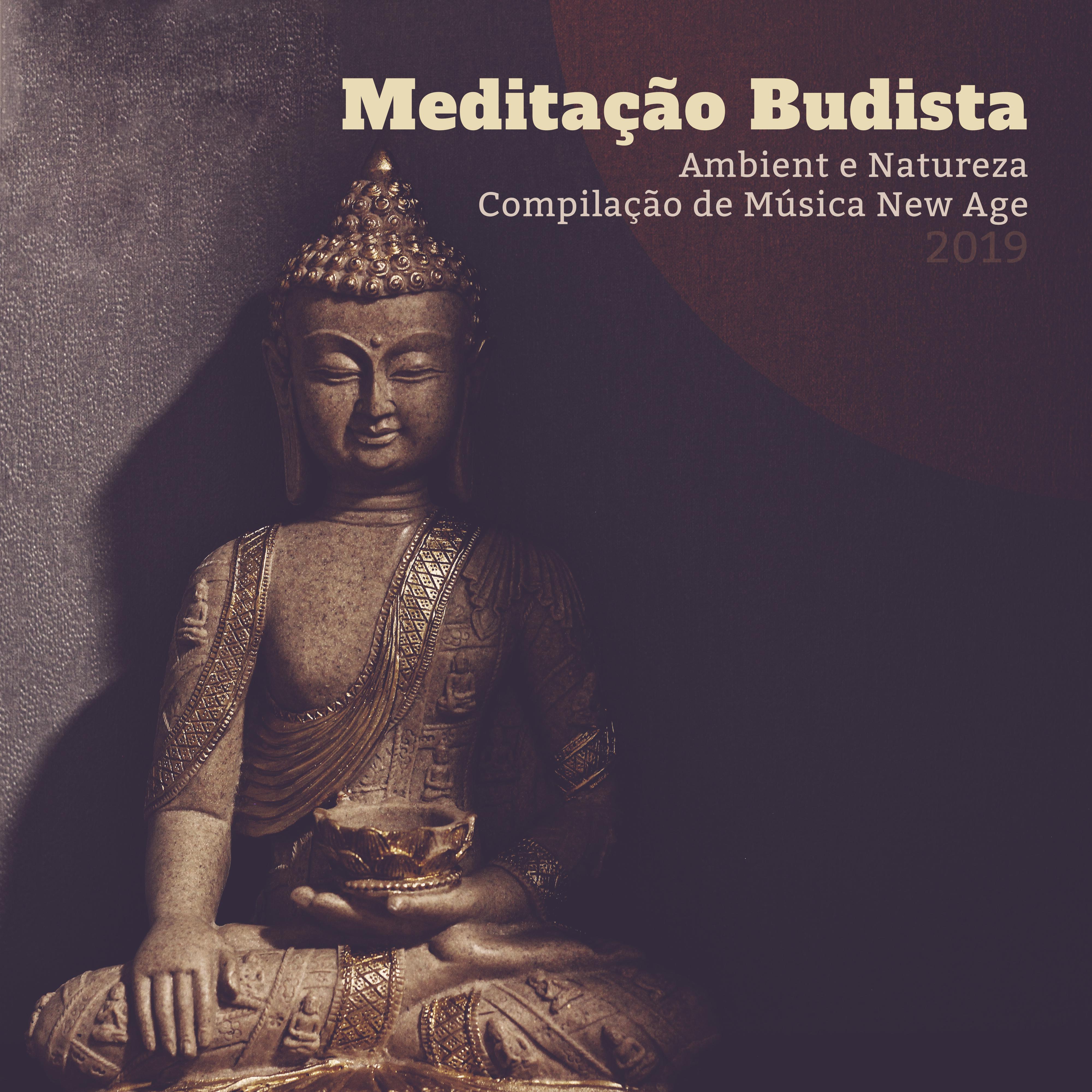 Medita o Budista Ambient e Natureza Compila o de Mu sica New Age 2019