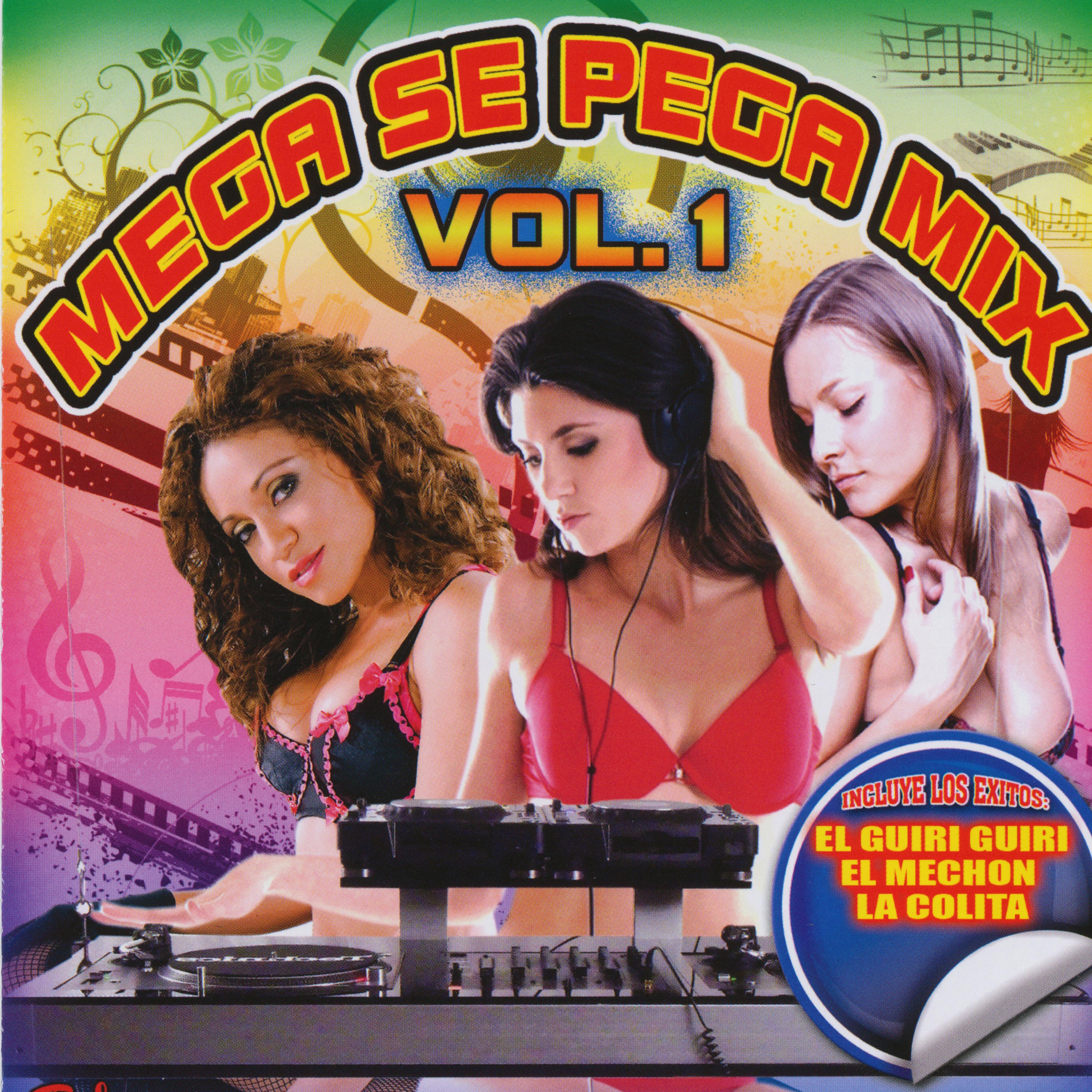 Mega Se Pega Mix, Vol. 1
