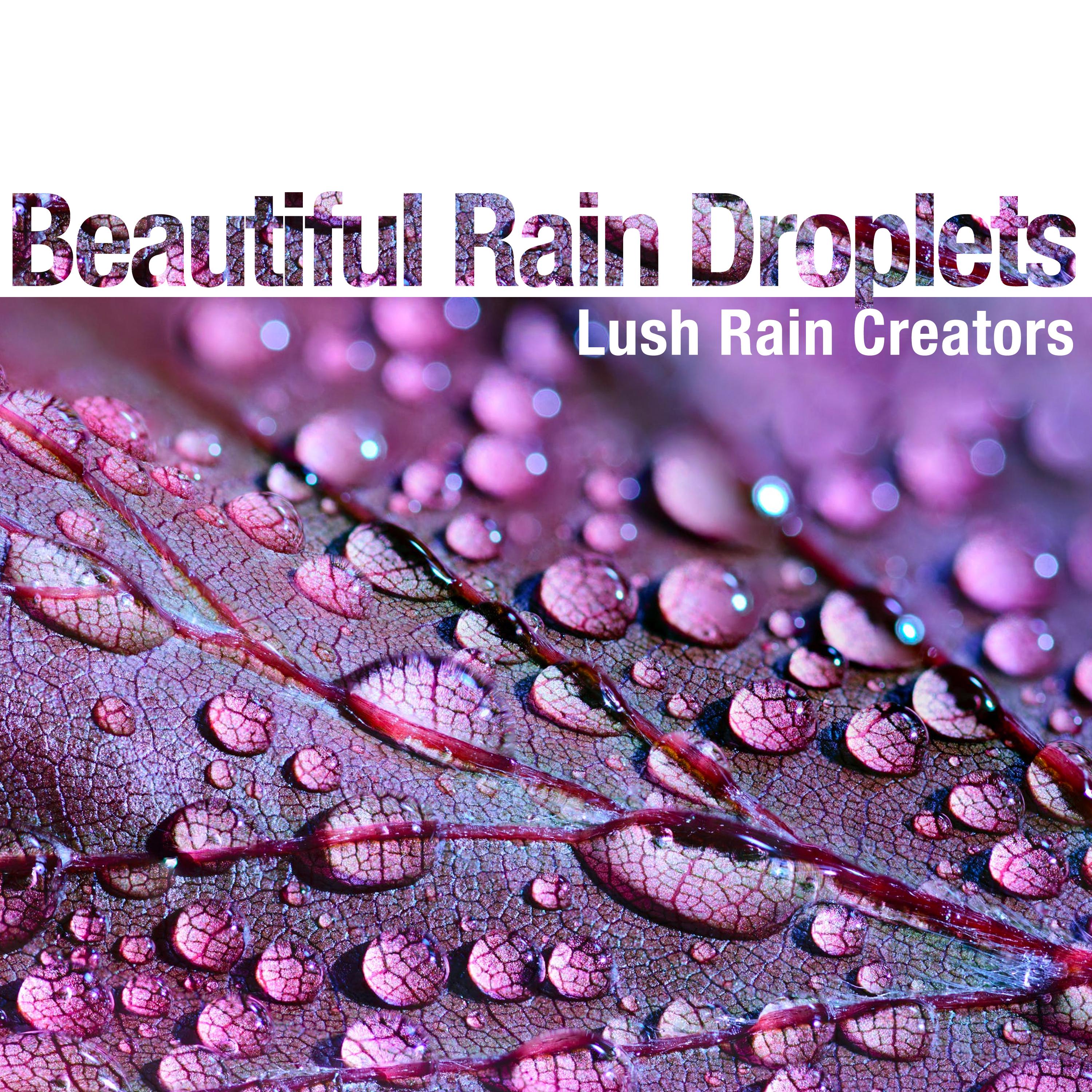 Beautiful Rain Droplets