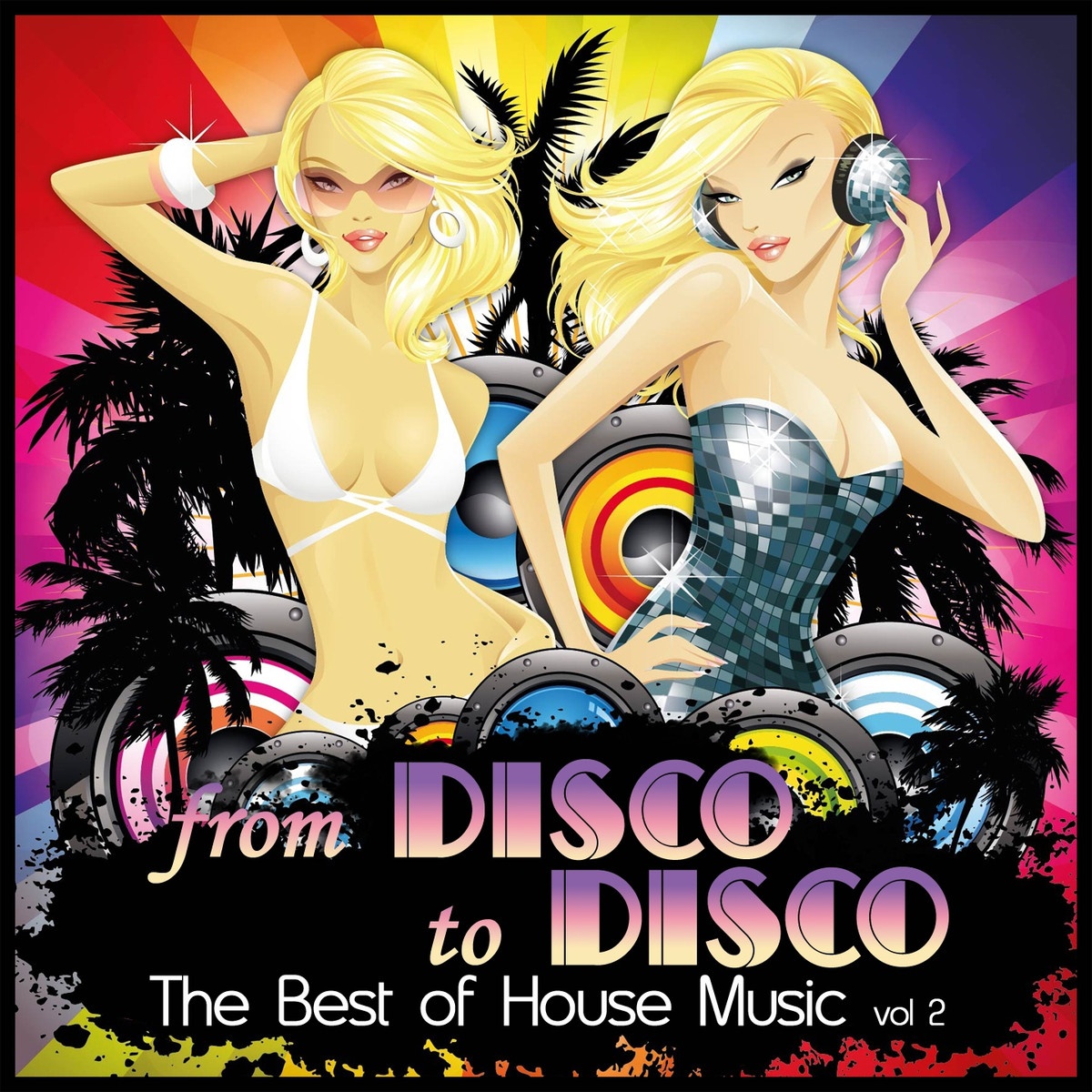 From Disco to Disco : The Best of House Music, Vol. 2