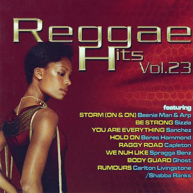 Reggae Hits Vol. 23