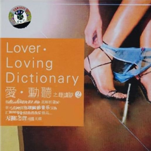 Lover Loving Dictionary 2