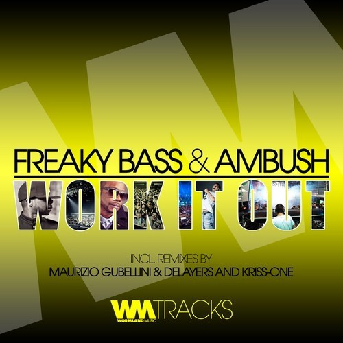 Work it Out (Maurizio Gubellini & Delayers Remix)