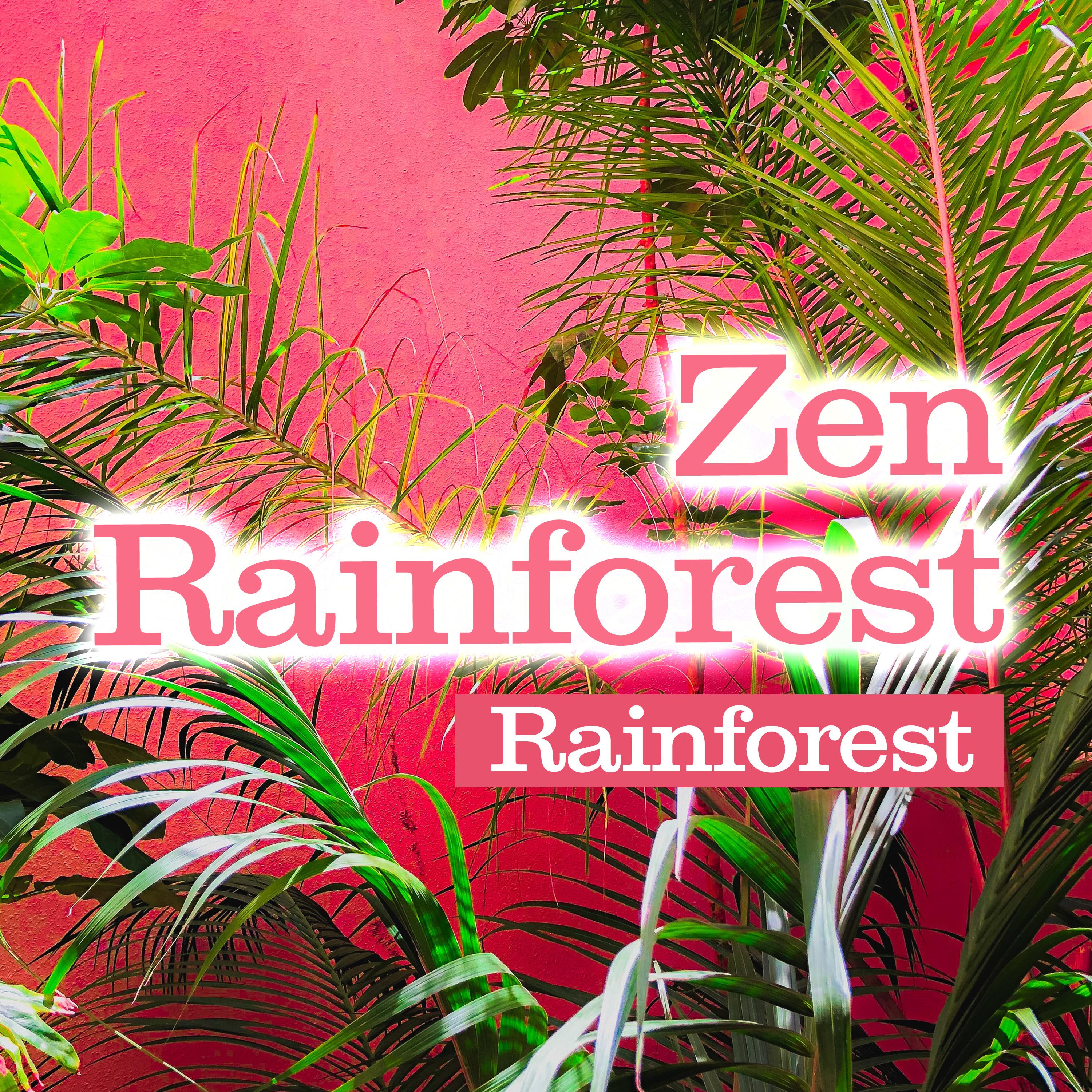 Zen Rainforest