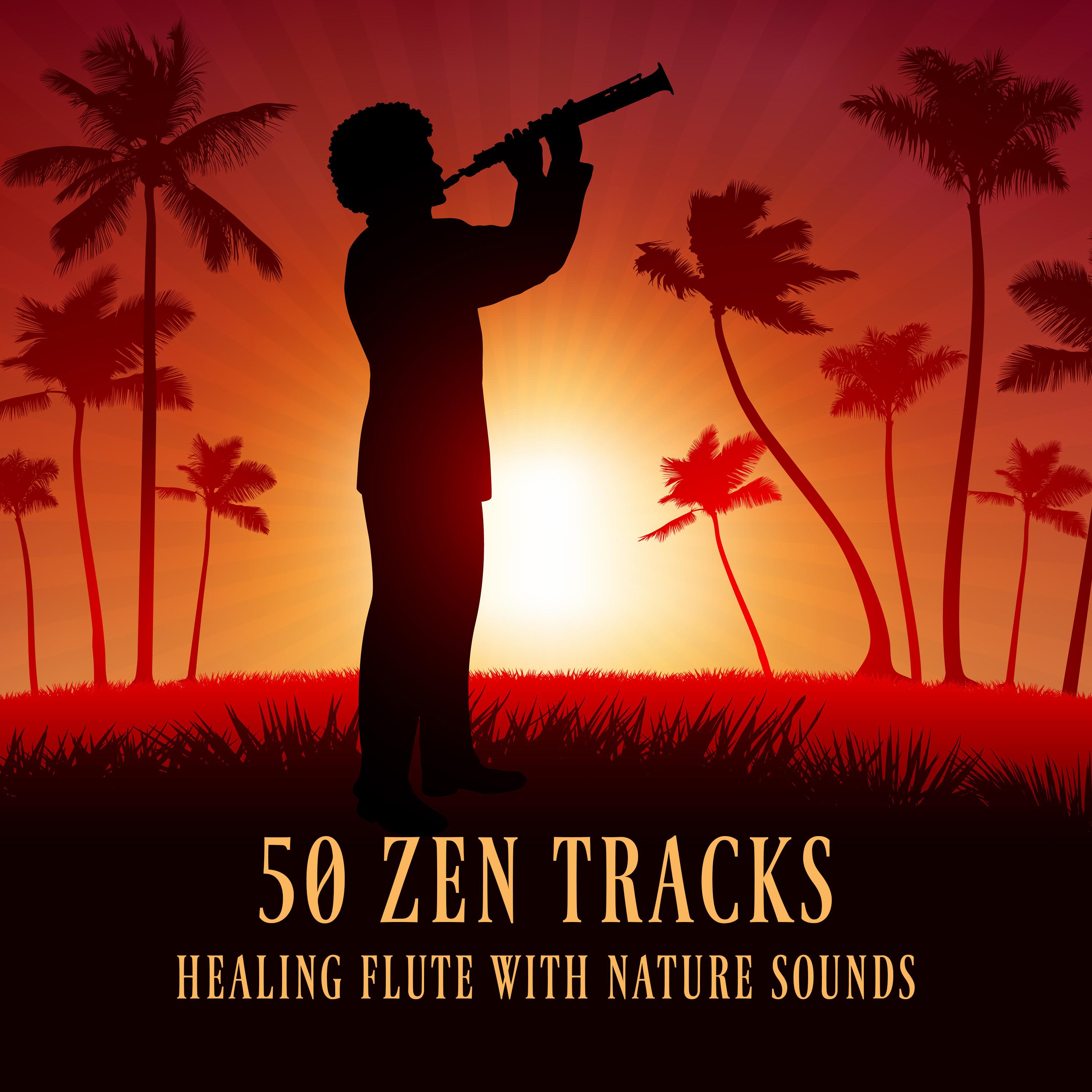 50 Zen Tracks (Healing Flute with Nature Sounds)
