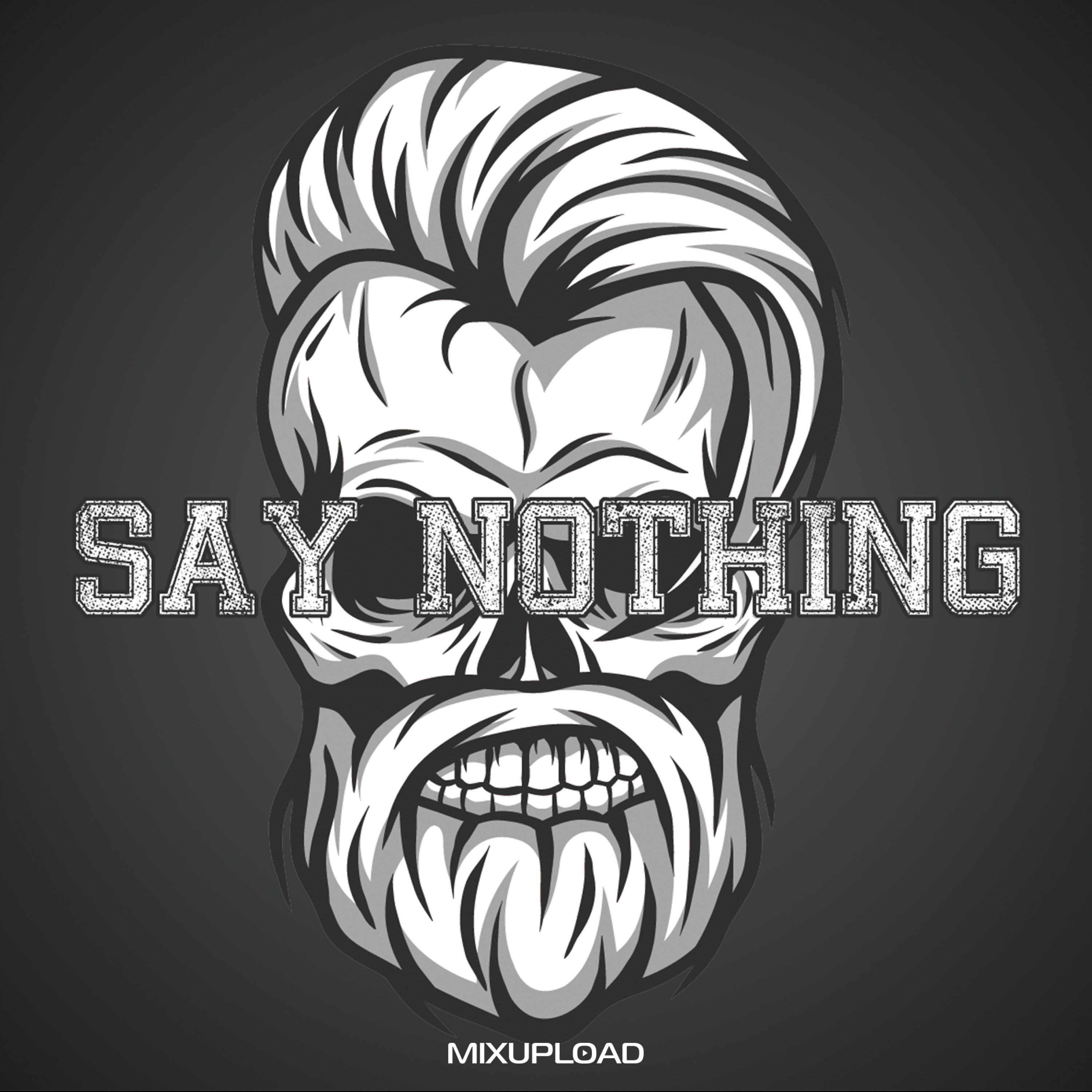 Say Nothing