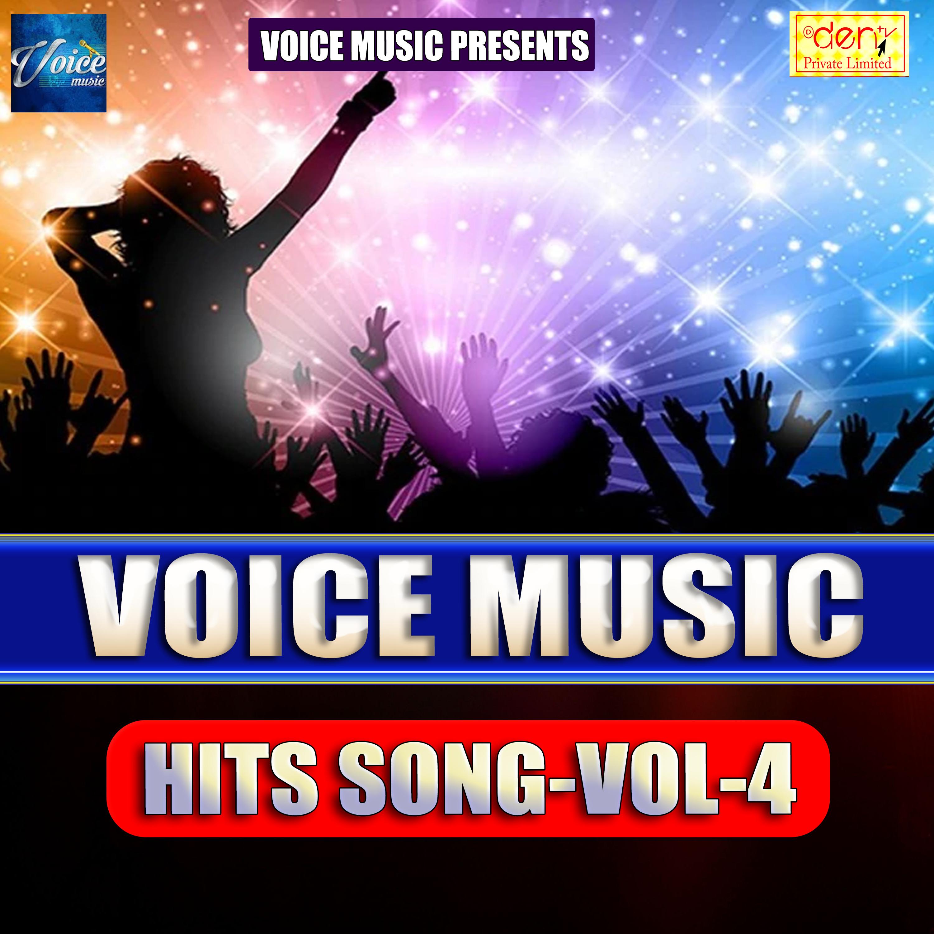 Voice Music Hits Vol - 4
