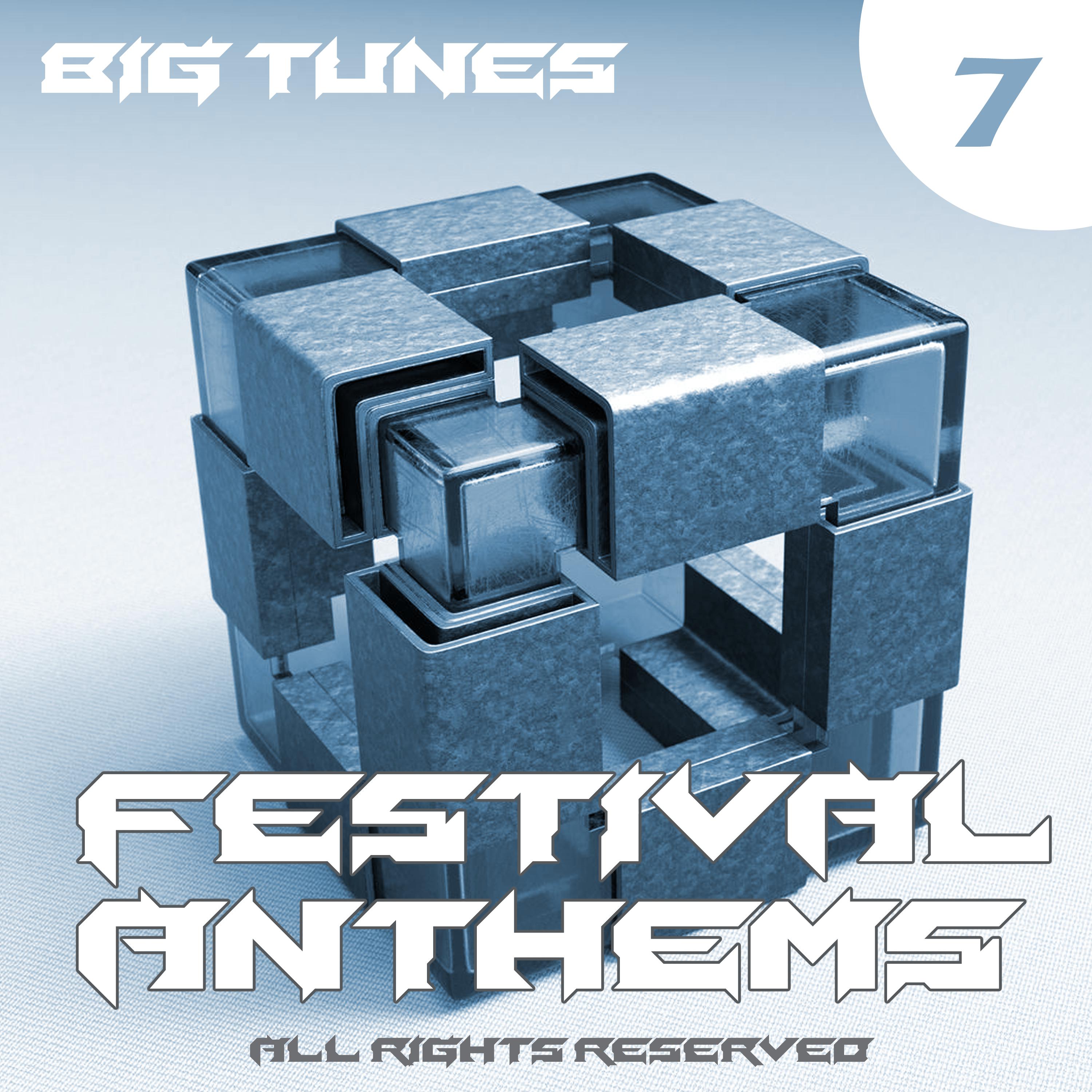 Festival Anthems, Vol. 7