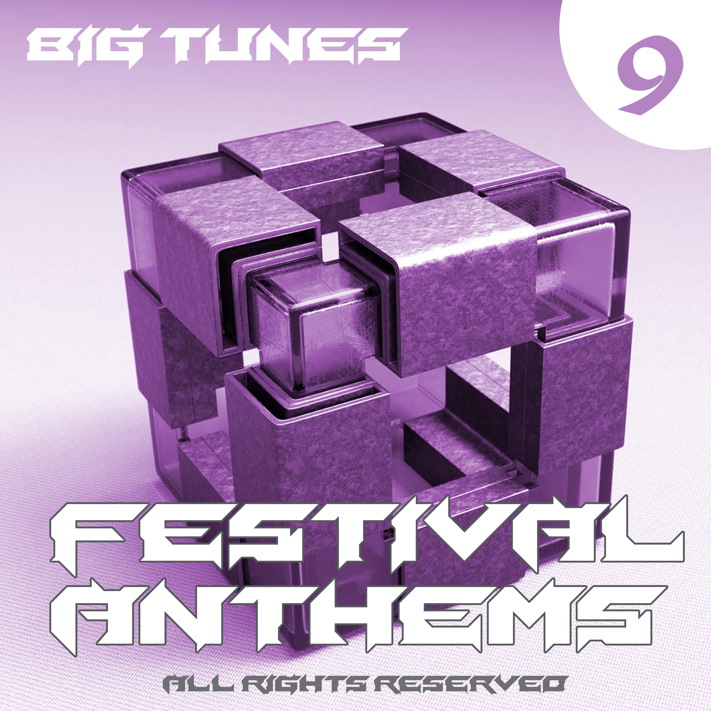 Festival Anthems, Vol. 9