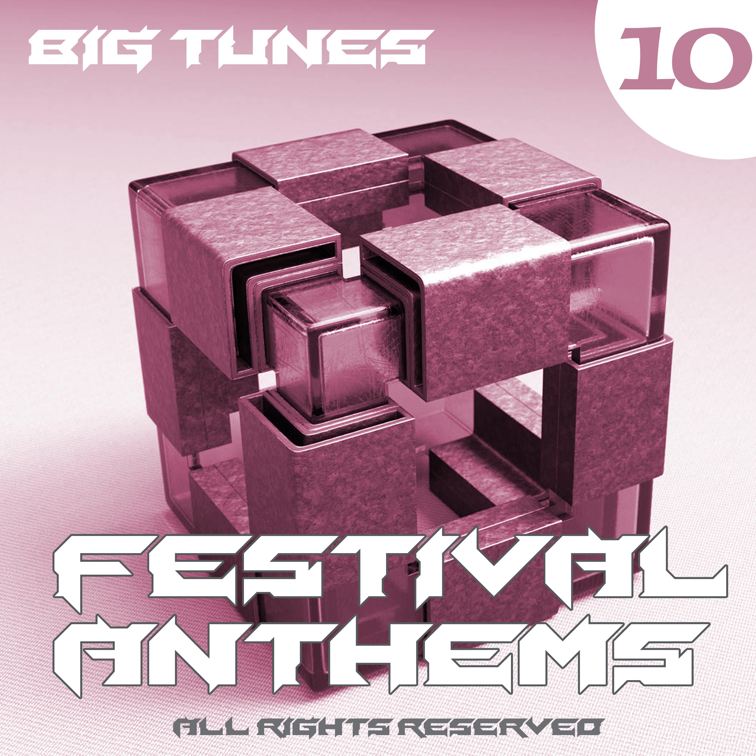 Festival Anthems, Vol. 10