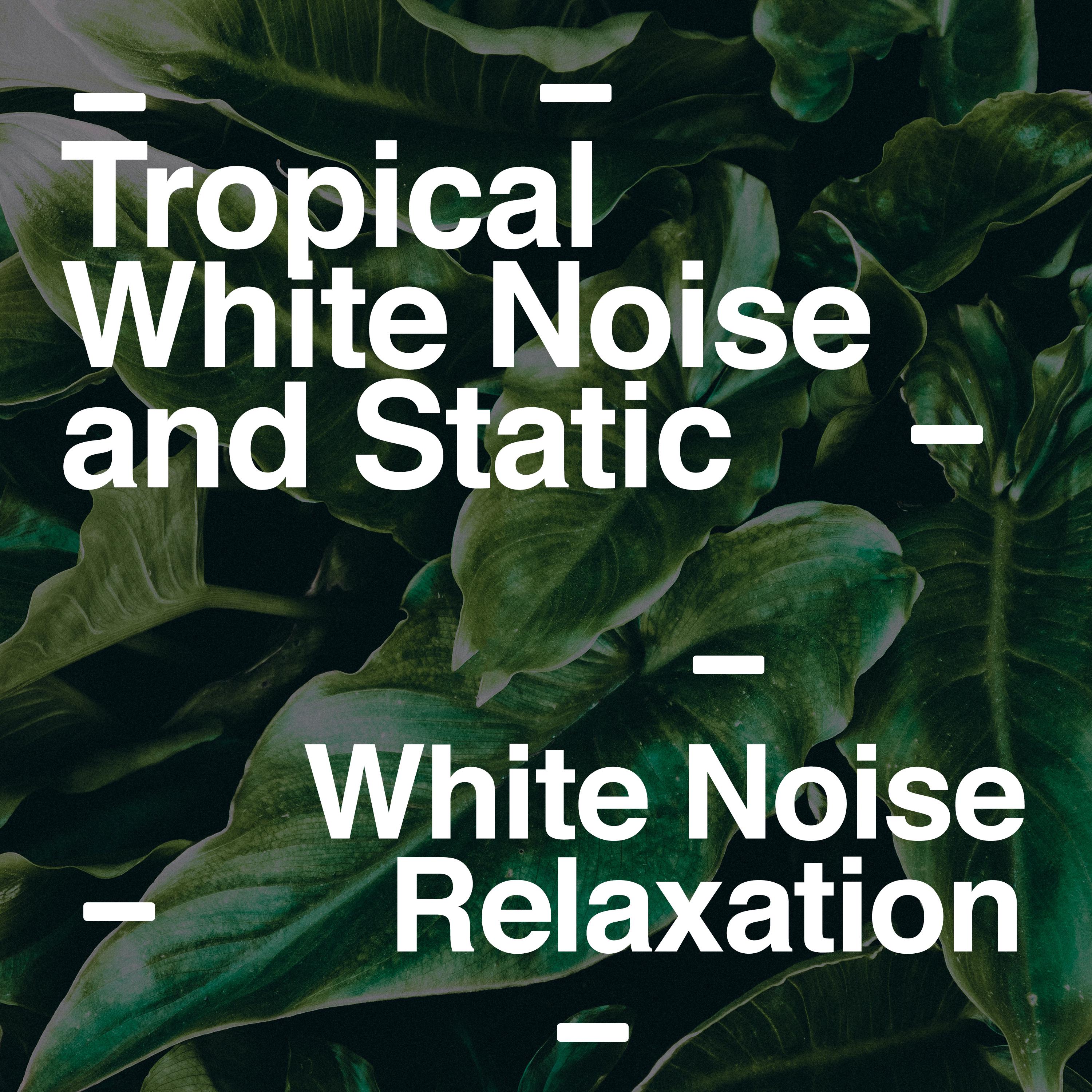 Tropical White Noise and Static