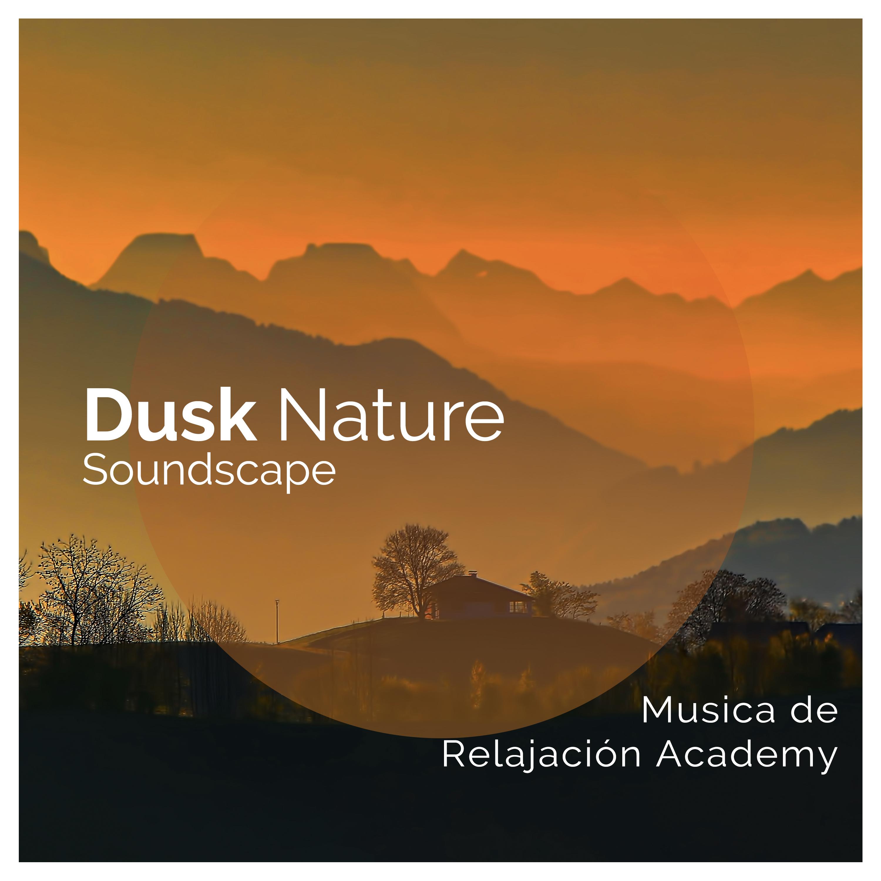 Dusk Nature Soundscape