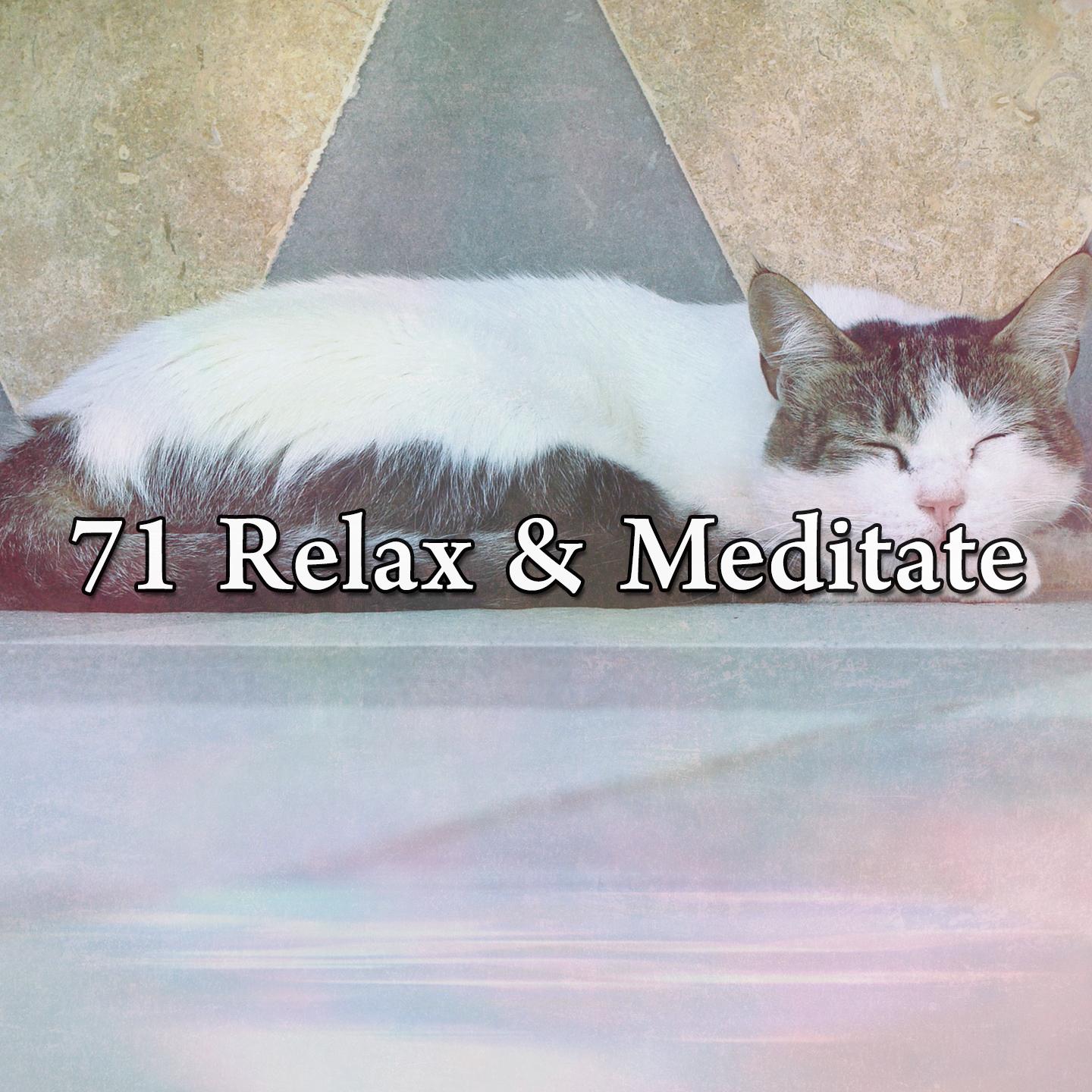 71 Relax & Meditate