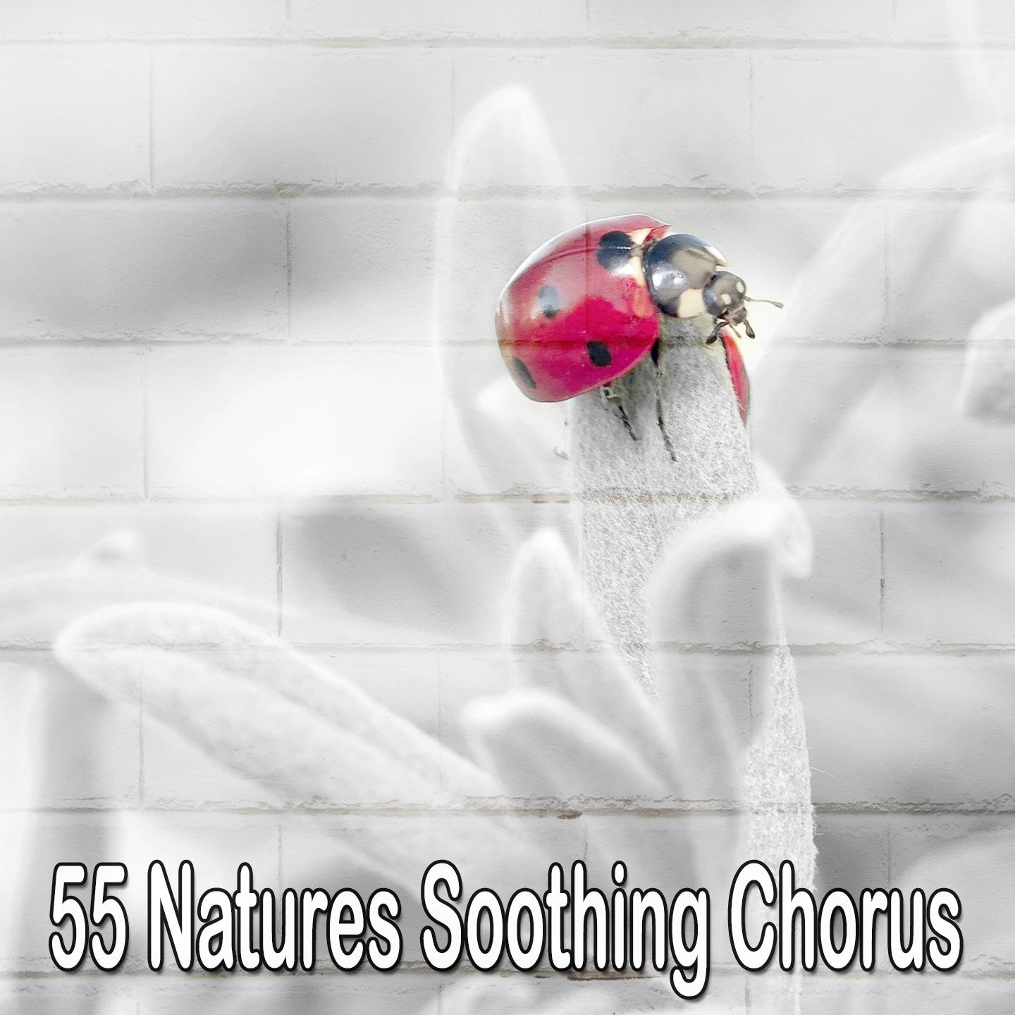 55 Natures Soothing Chorus