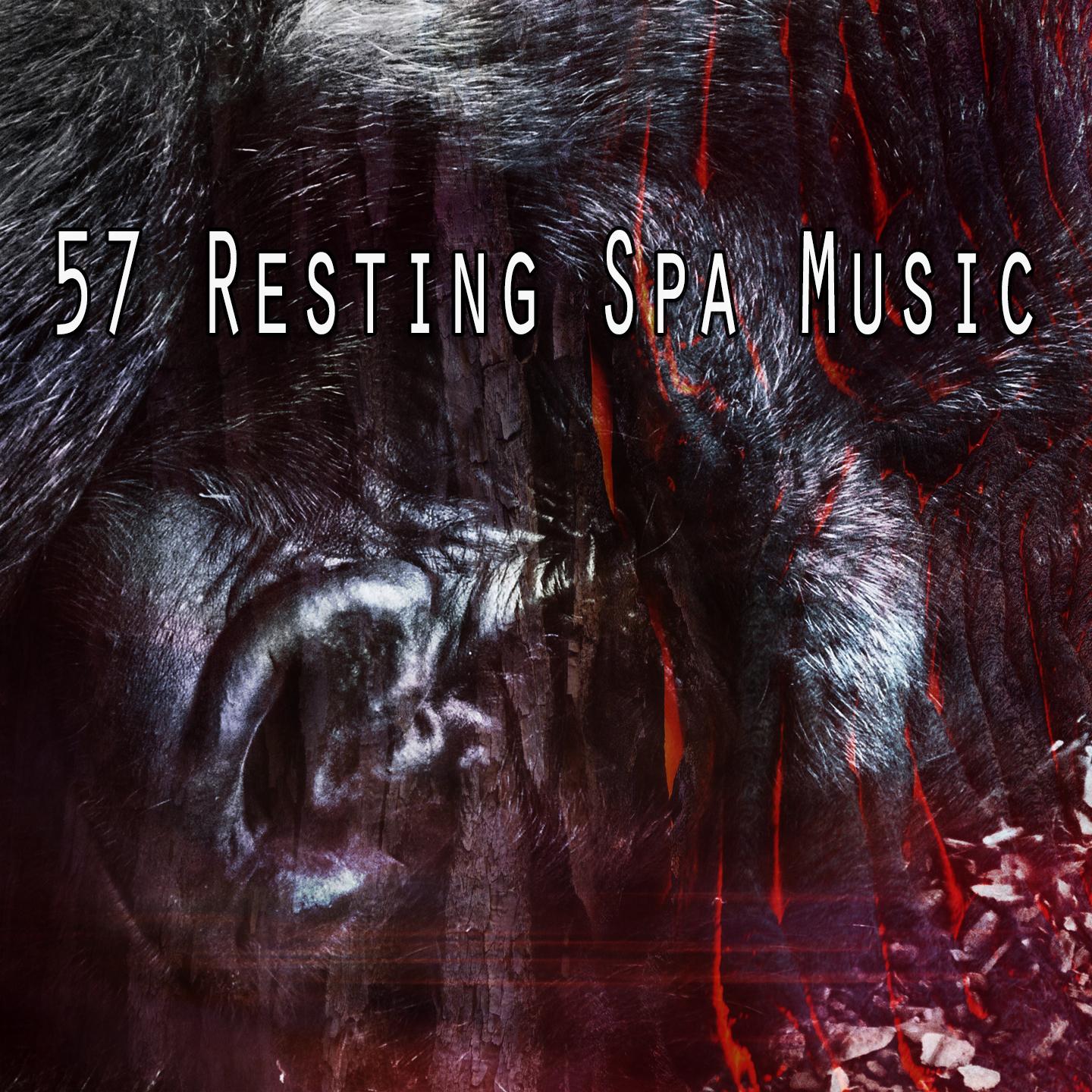 57 Resting Spa Music