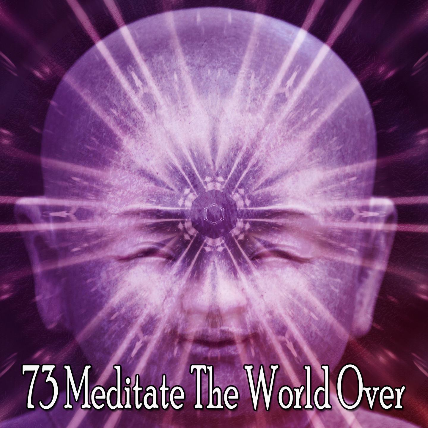 73 Meditate the World Over