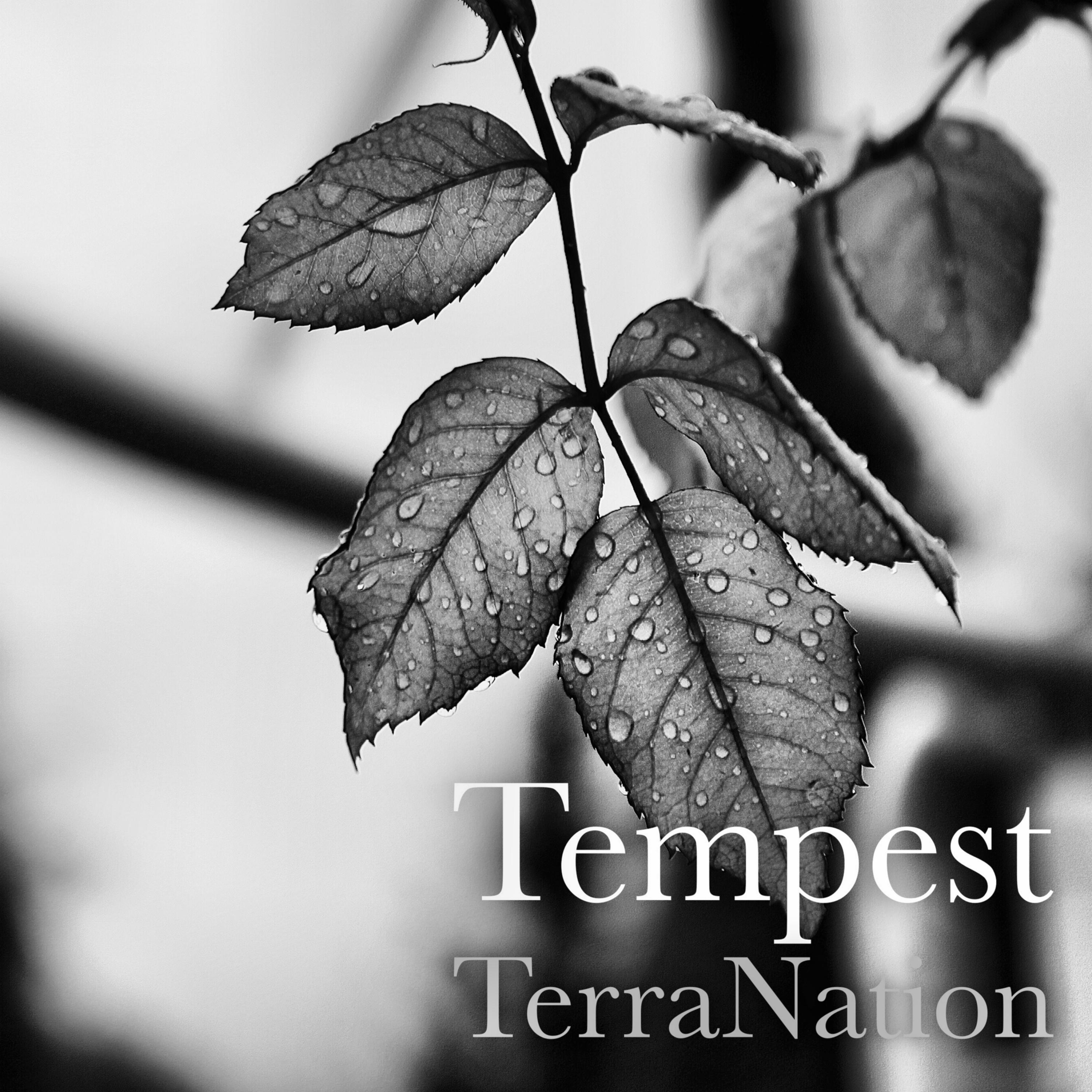 The Tempest