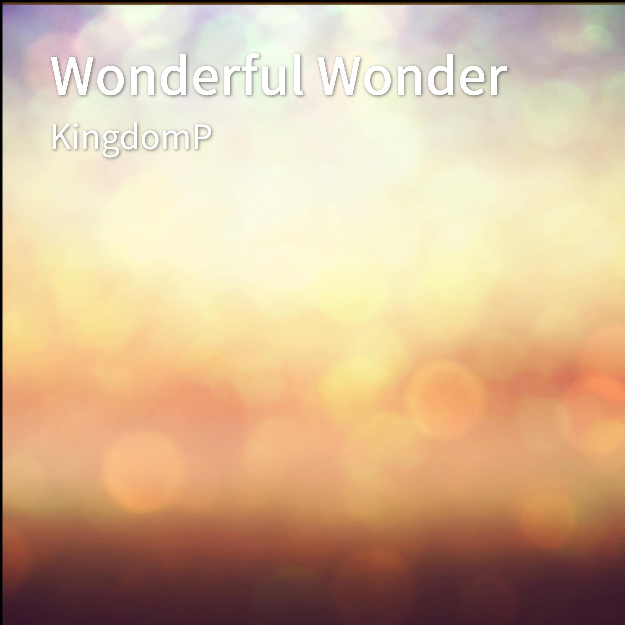 Wonderful Wonder