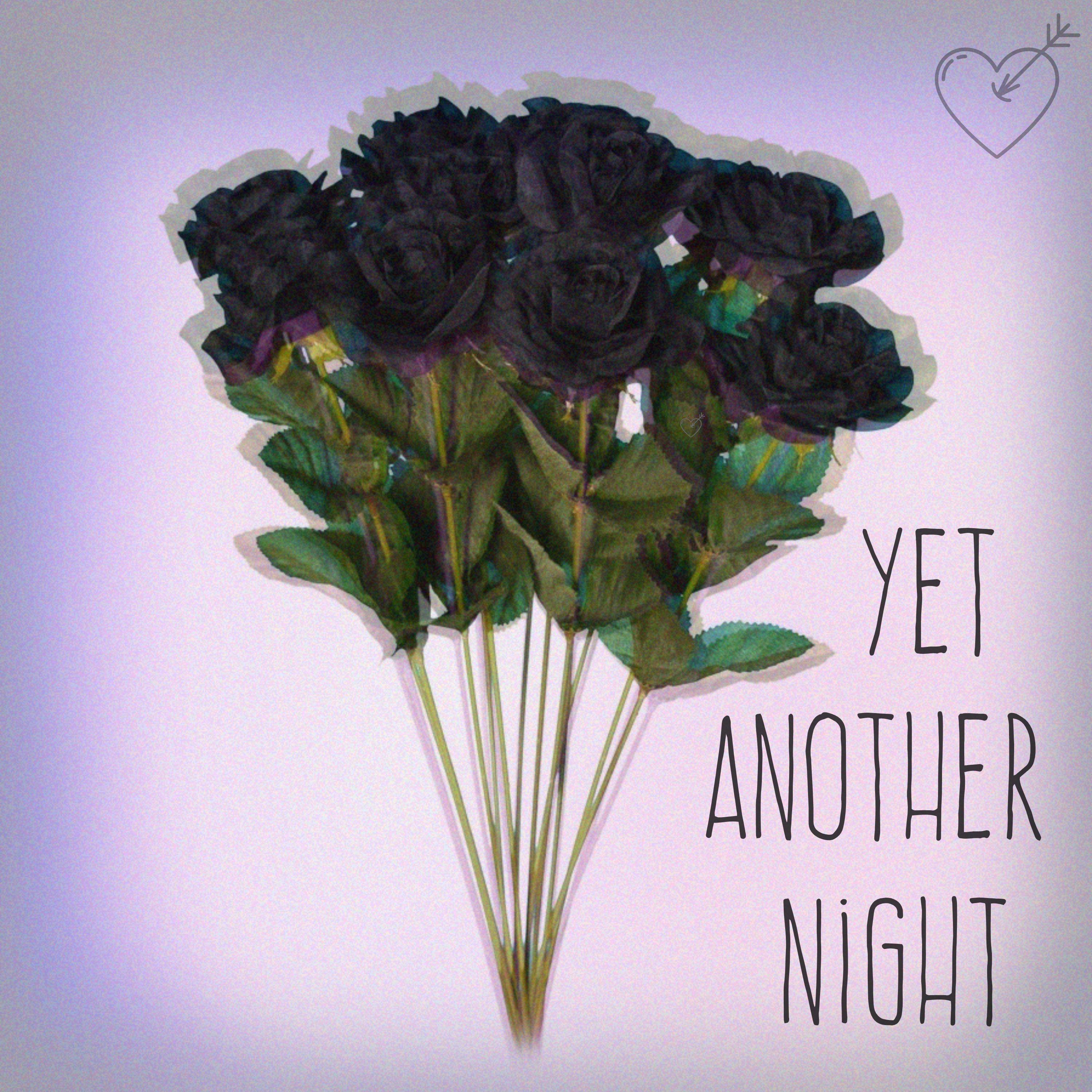 Yet Another Night