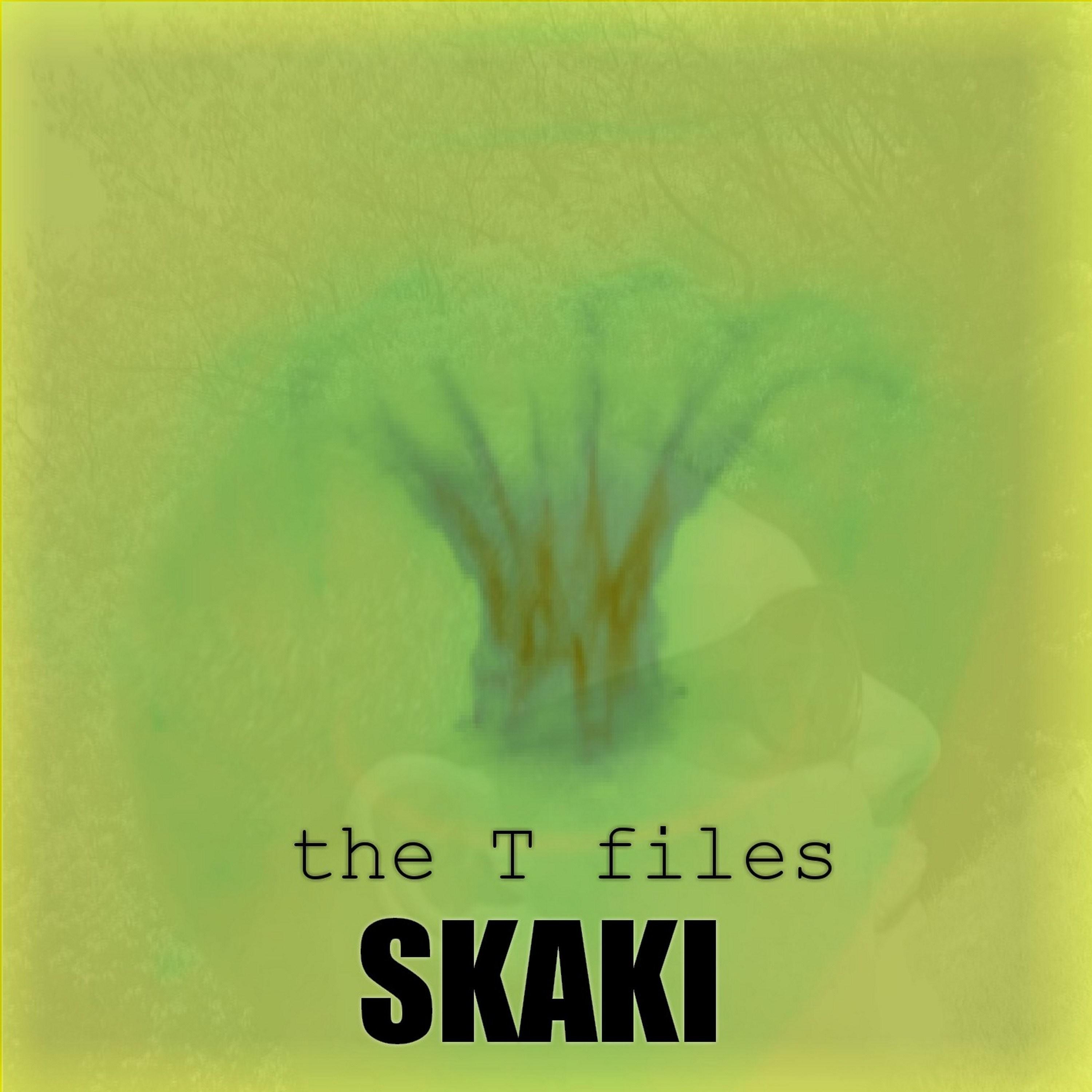 The ''T'' Files