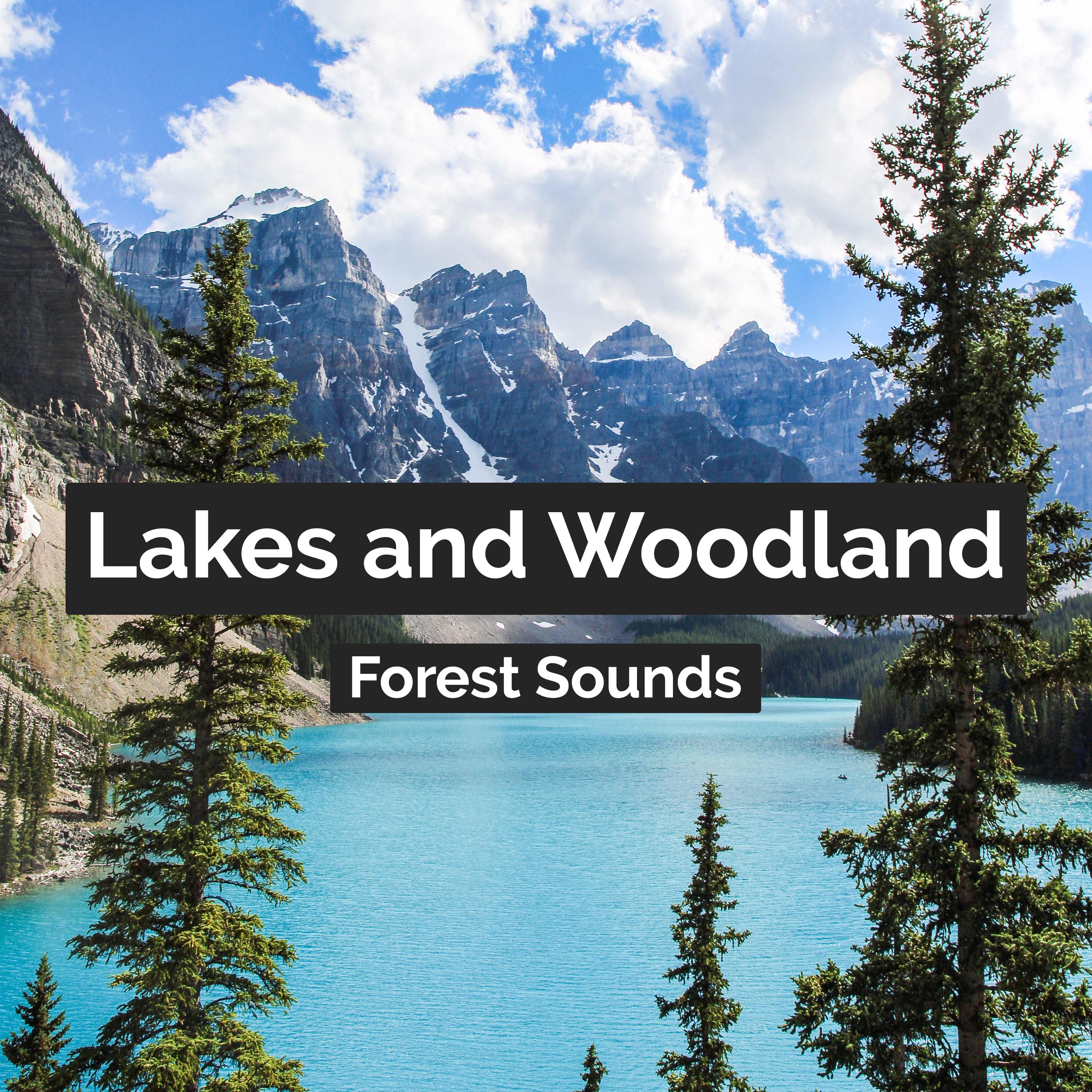 Lakes and Woodland