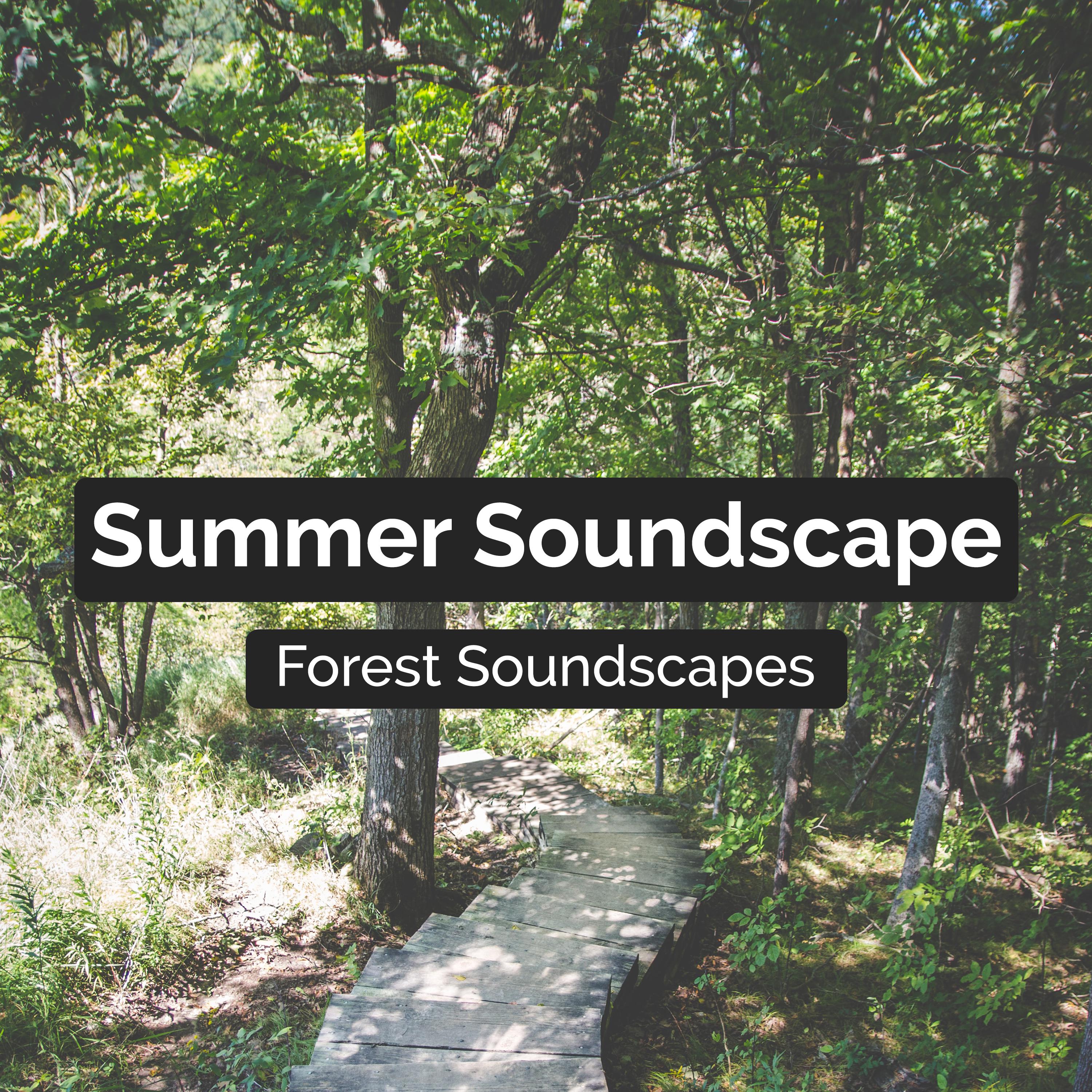 Summer Soundscape