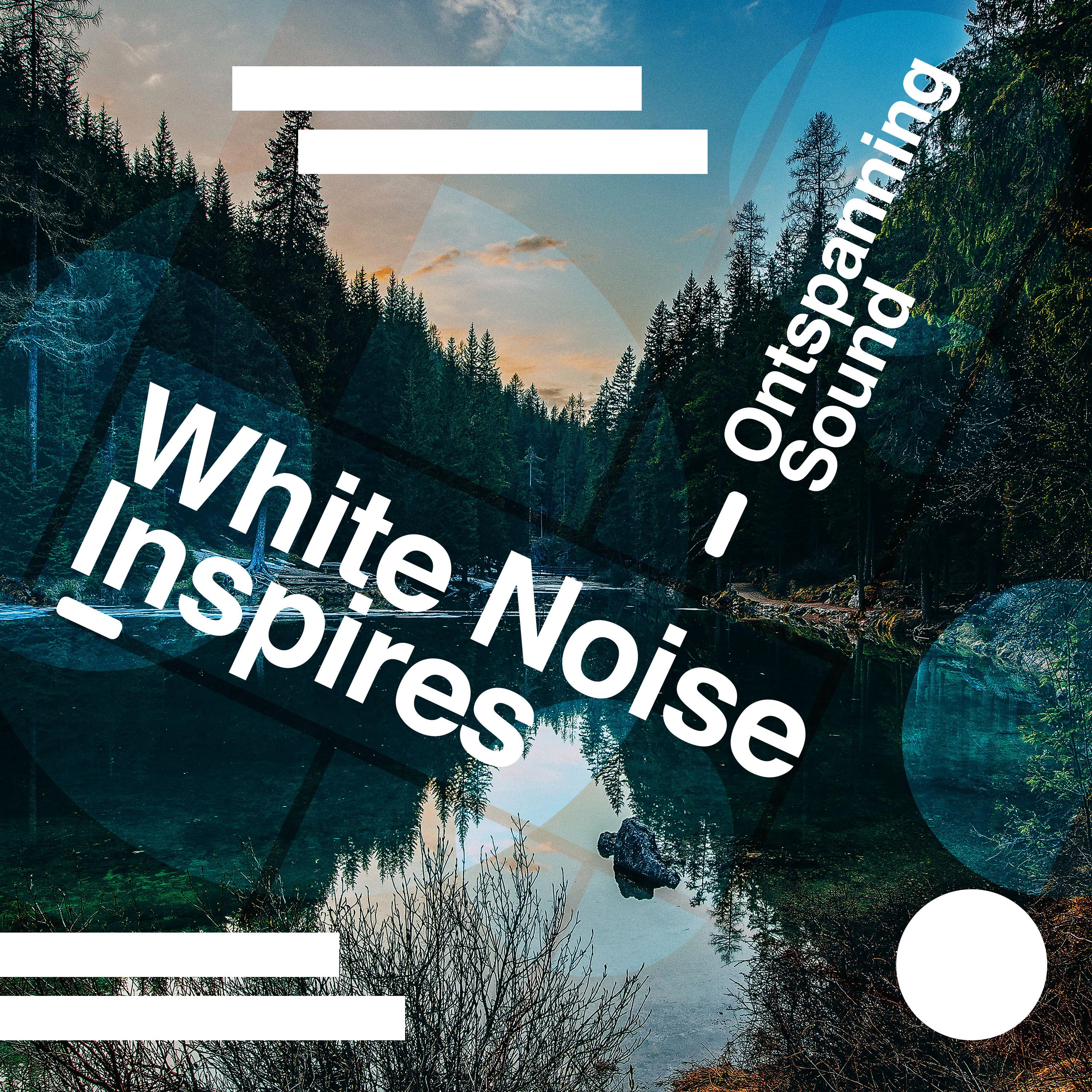 White Noise Inspires