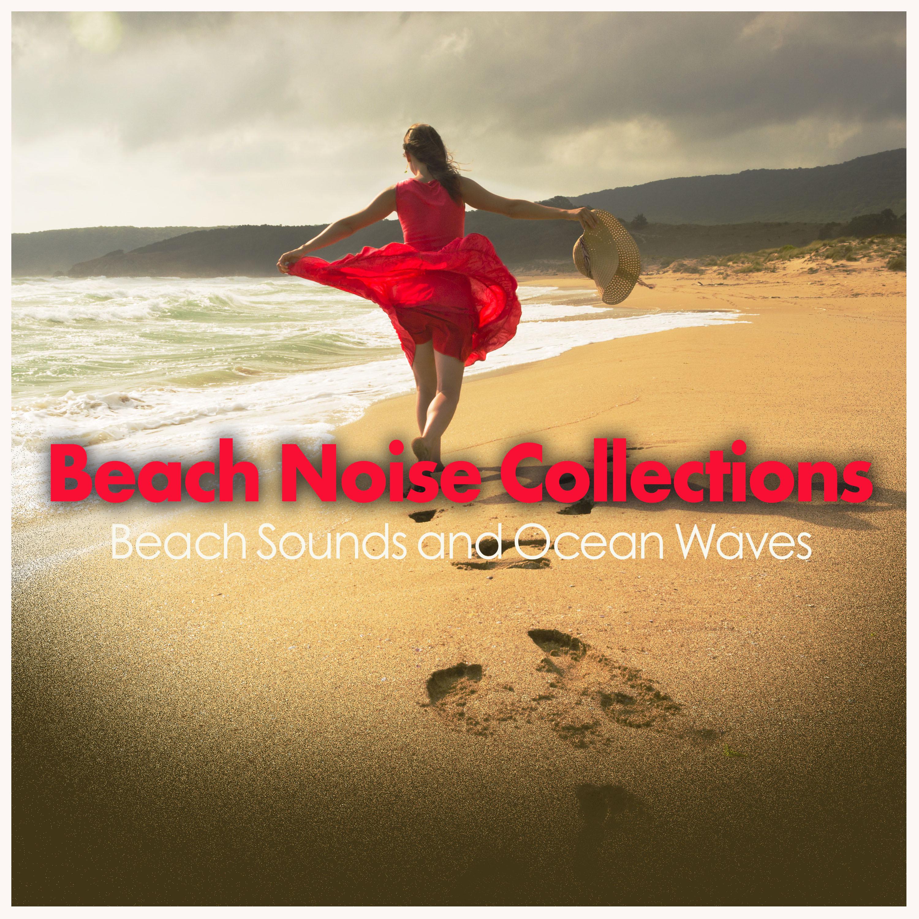 Beach Noise Collections