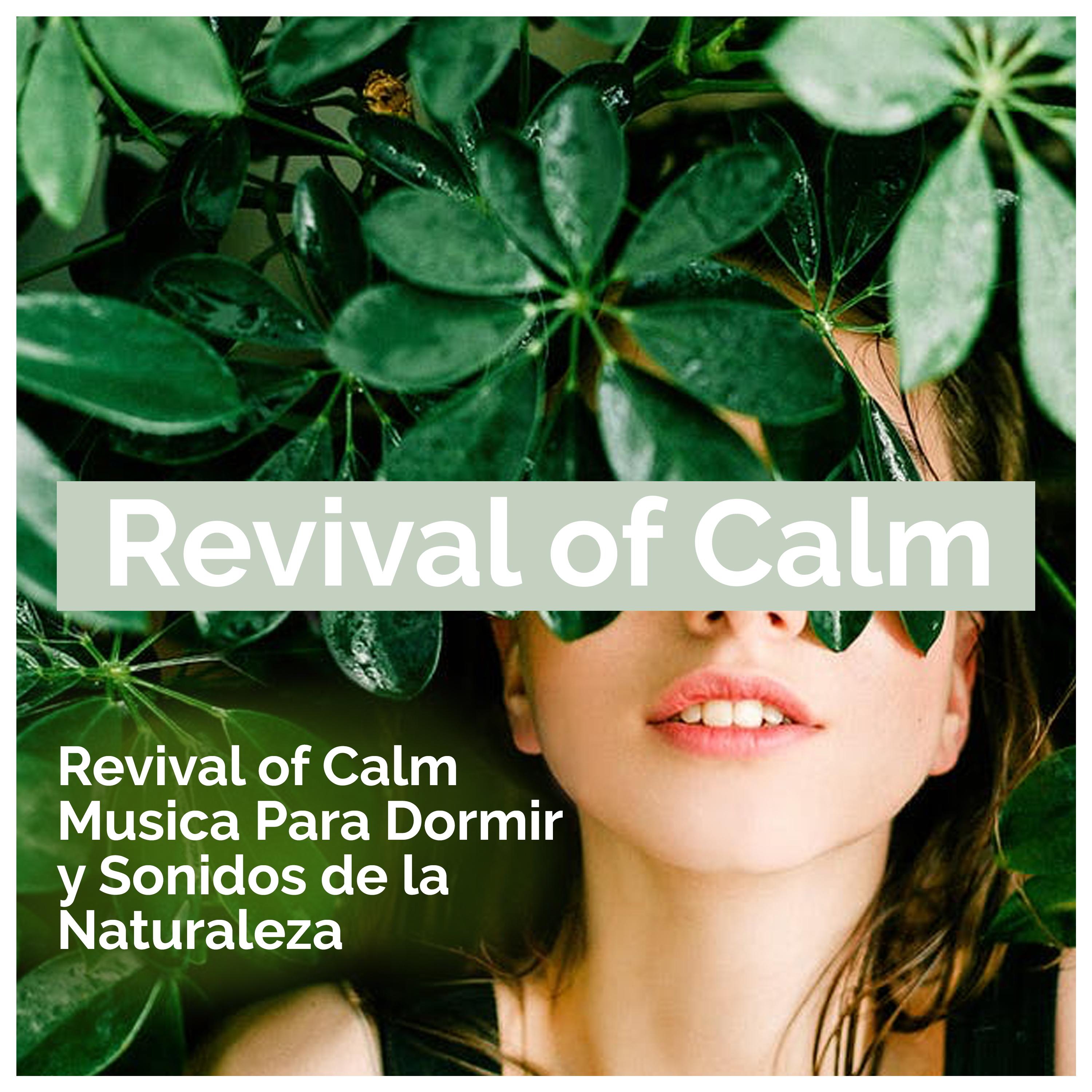 Revival of Calm