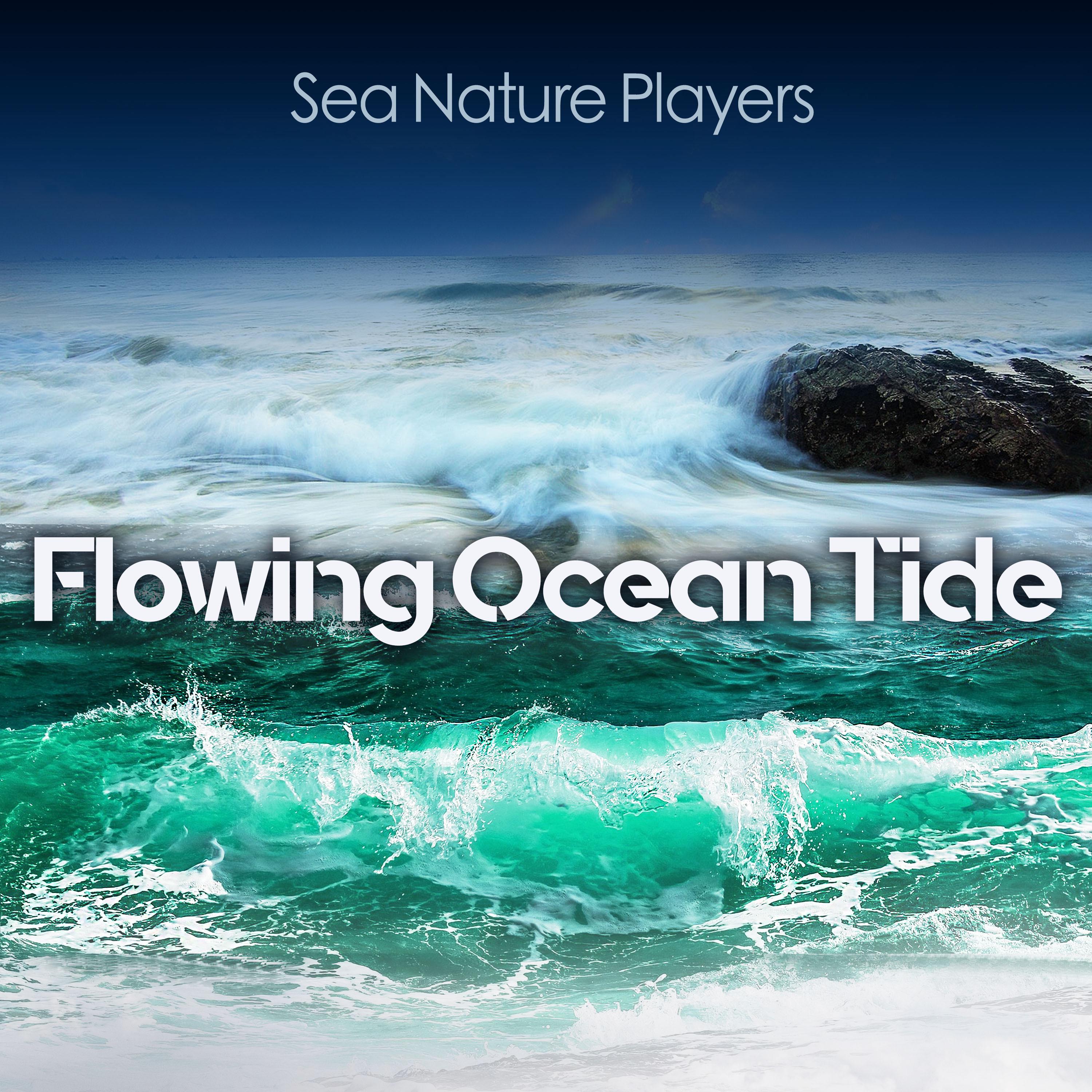 Flowing Ocean Tide