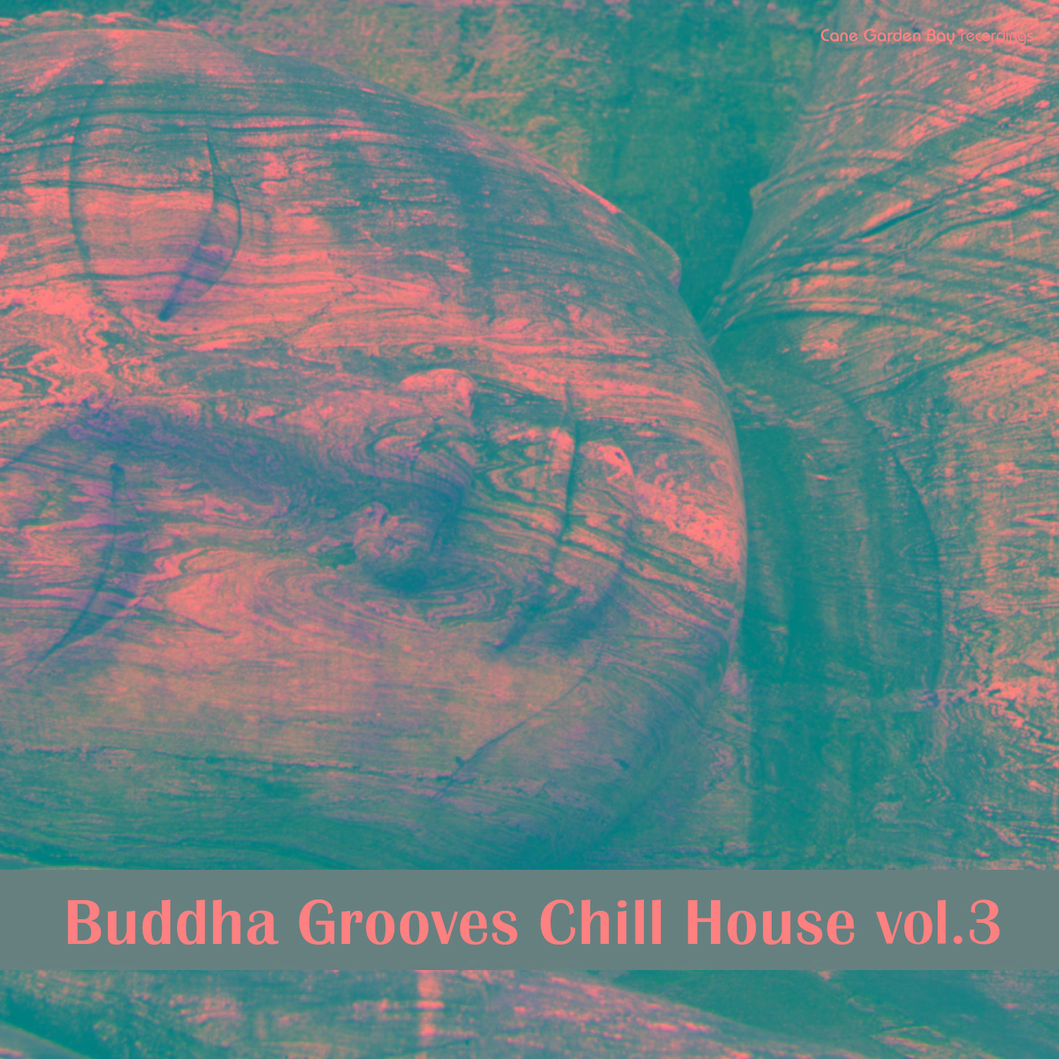 Buddha Grooves Chill House, Vol 3